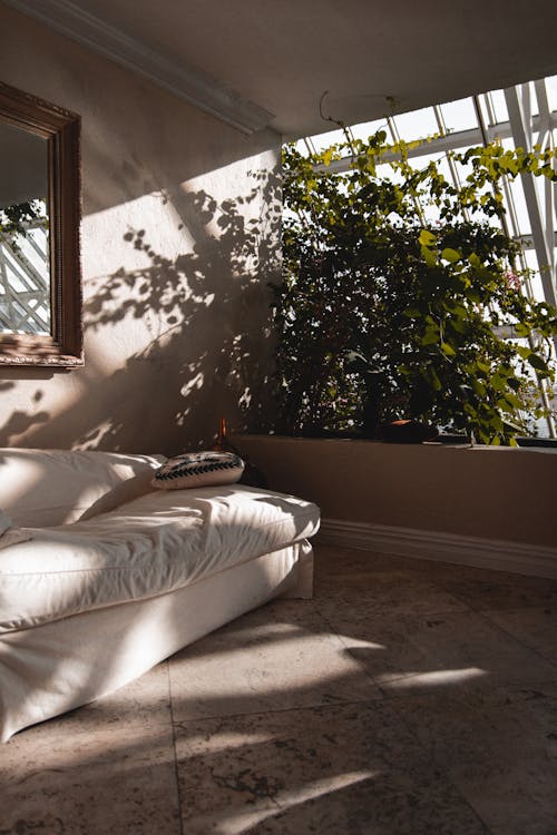 White Couch Beside Indoor Plants