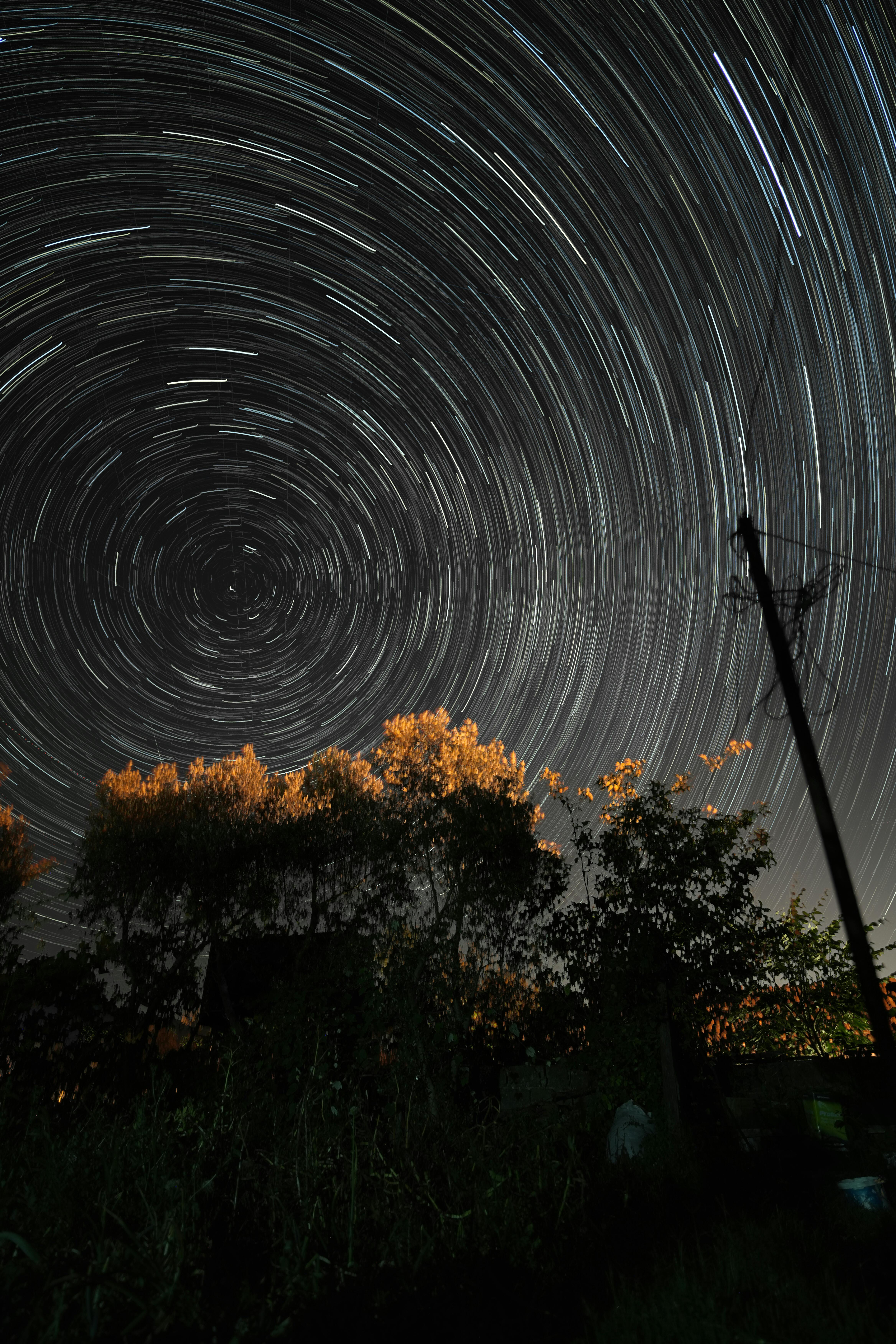 Captivating star trails above silhouetted trees at night, showcasing the beauty of the night sky.