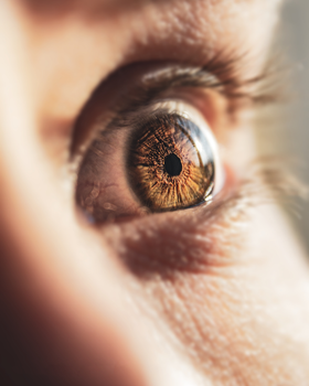 A macro shot focusing on the intricate details of a hazel eye, showcasing depth and color.