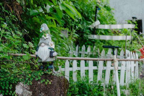 Free A whimsical garden gnome atop a rock surrounded by vibrant green plants and a white fence. Stock Photo