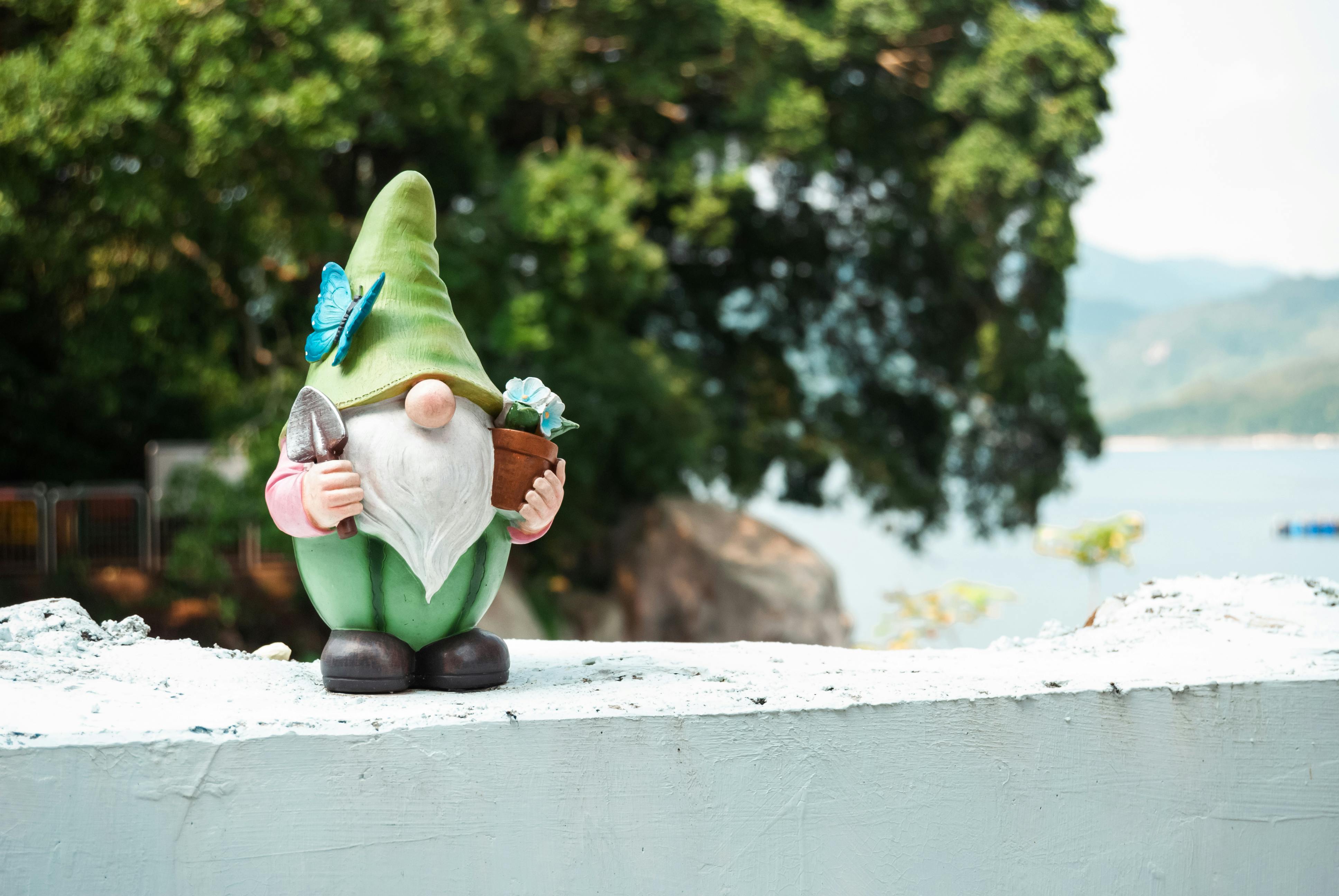 The Obsession with Novelty