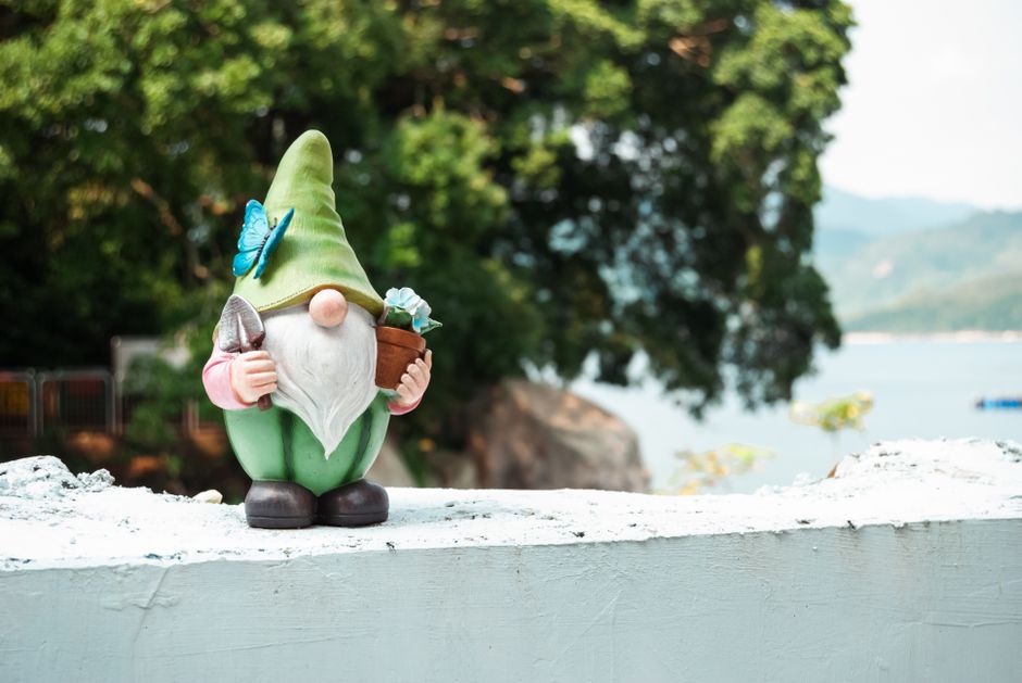 The Obsession with Novelty The Obsession with Novelty