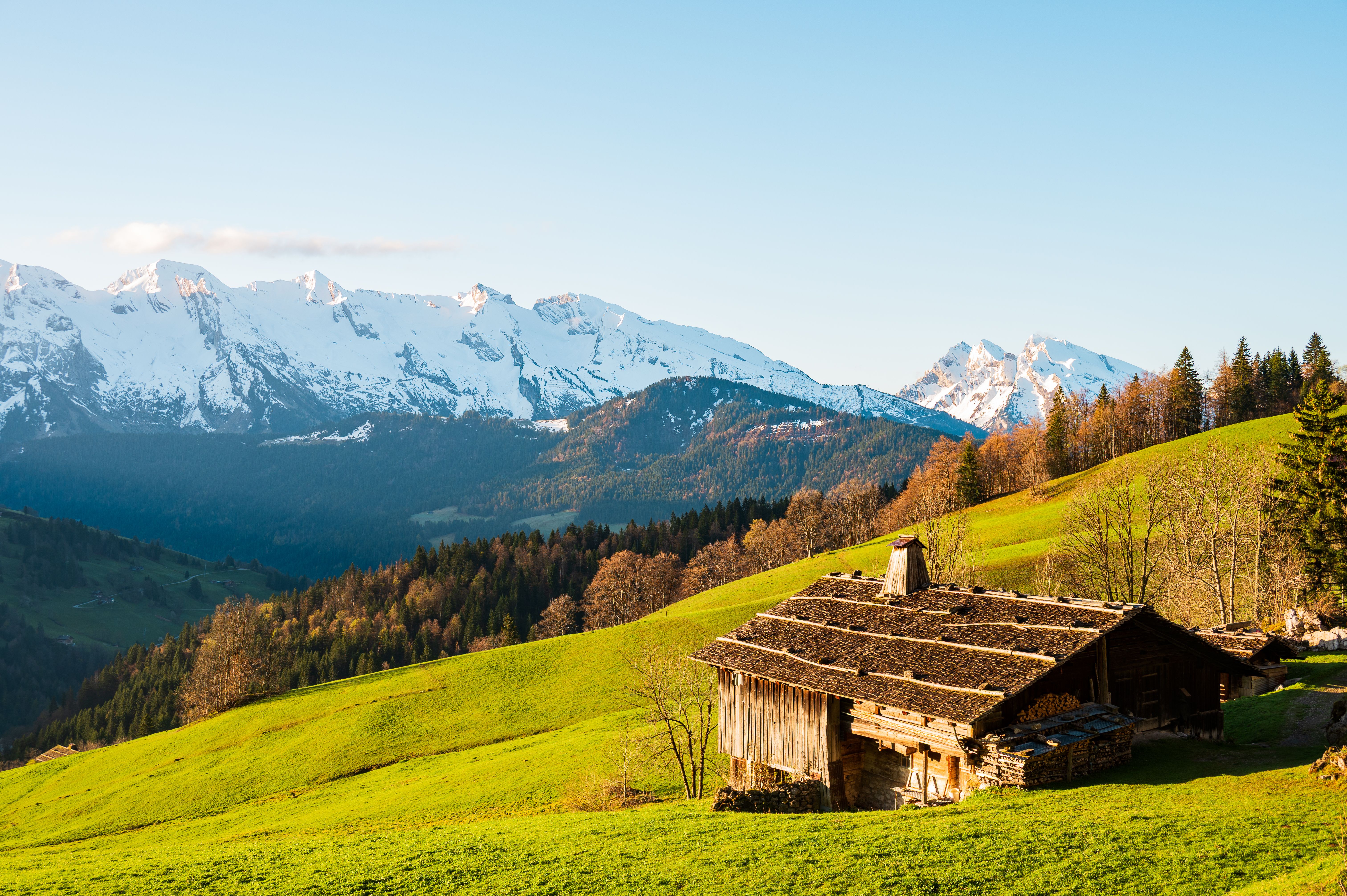 Snow-capped alpine peaks with pines and a cabin