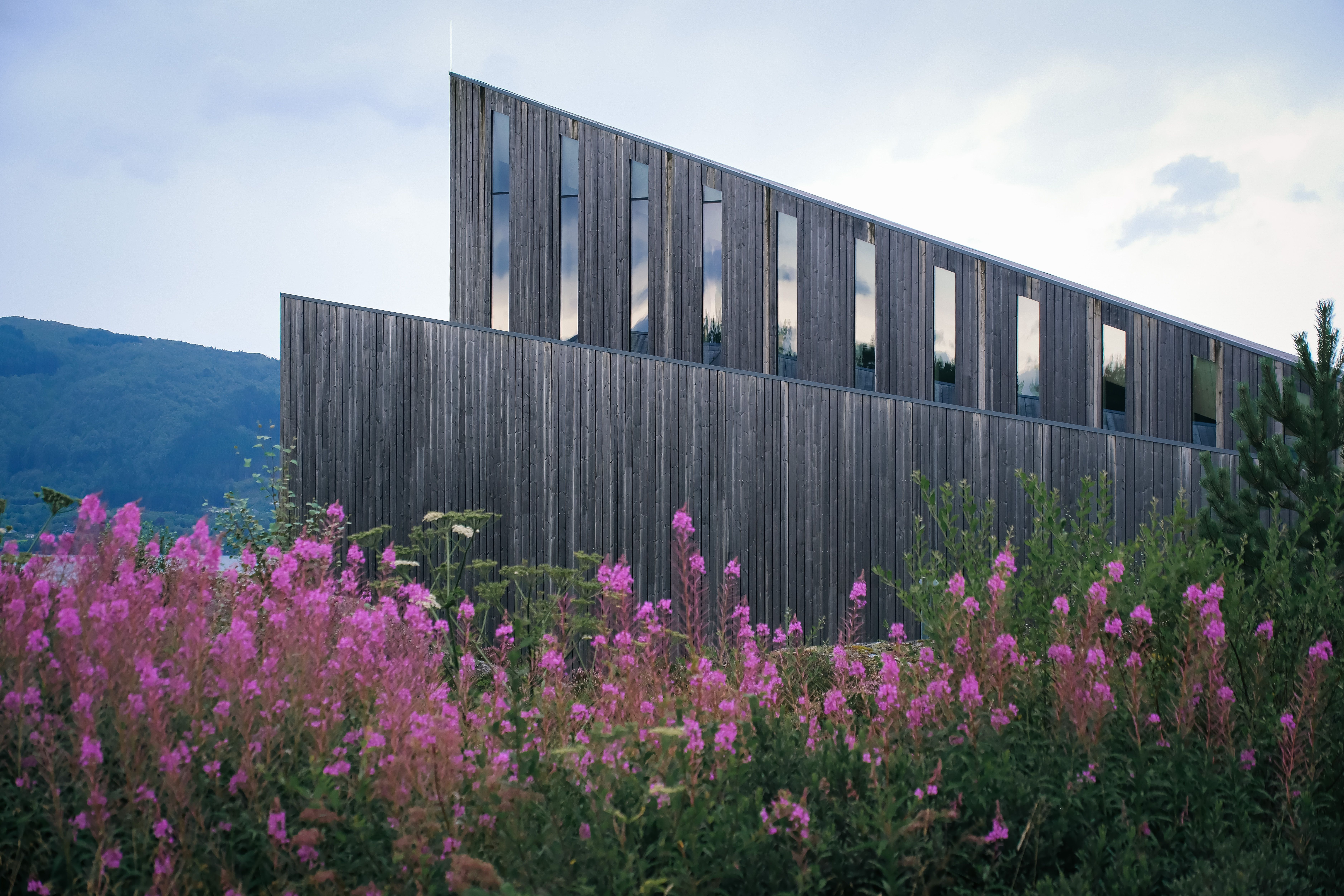 Modern wooden architectural structure surrounded by vibrant pink flowers and lush greenery.