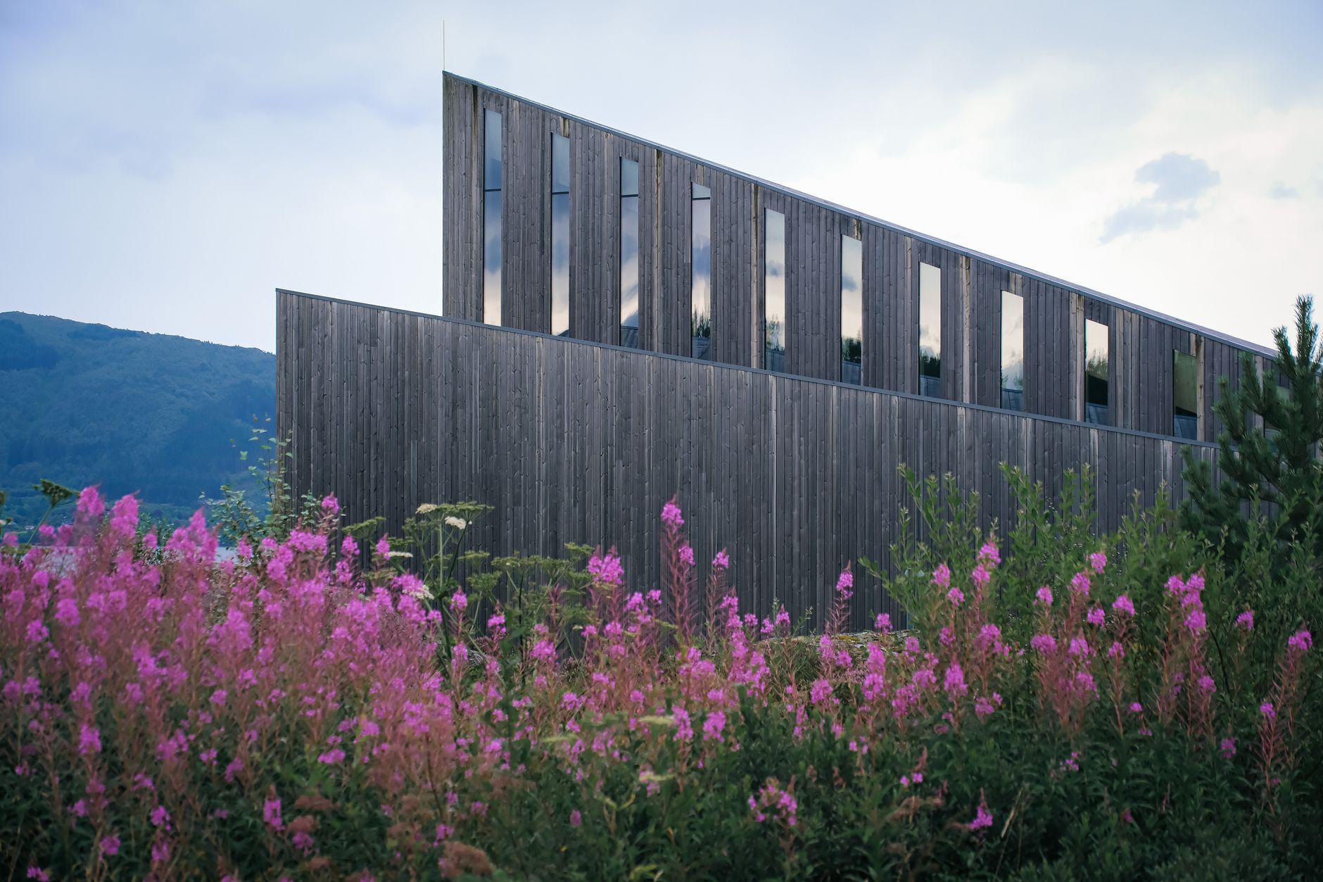 Modern wooden architectural structure surrounded by vibrant pink flowers and lush greenery.