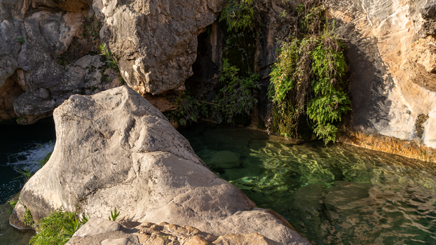 cave creek landscape