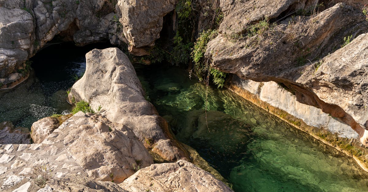 Brownsberg Nature Park