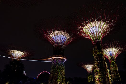 Vibrant night view of the Supertree Grove at Gardens by the Bay, Singapore, with lights illuminating the structures.