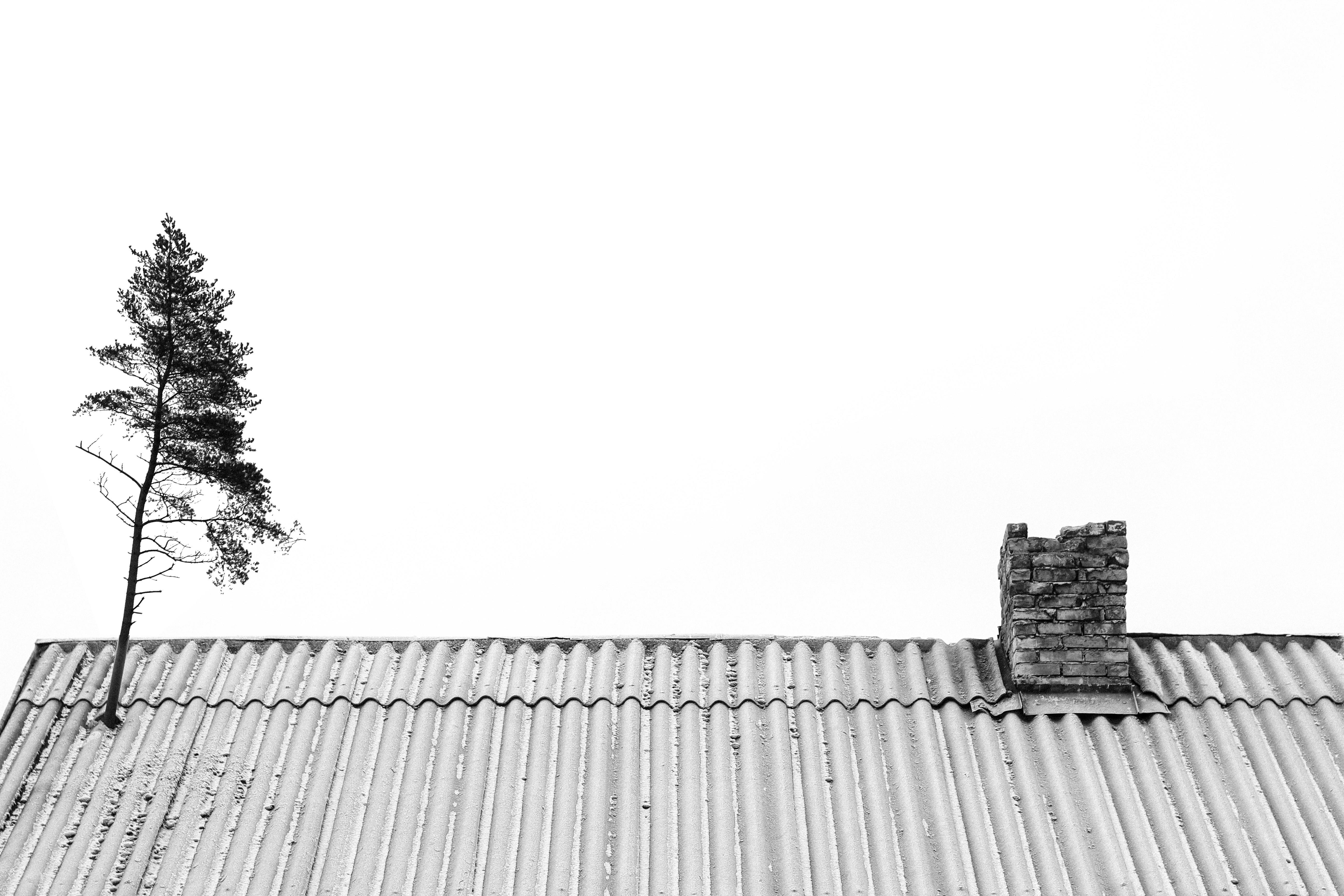 Gratis Scena Minimalista Del Tetto In Bianco E Nero Foto a disposizione