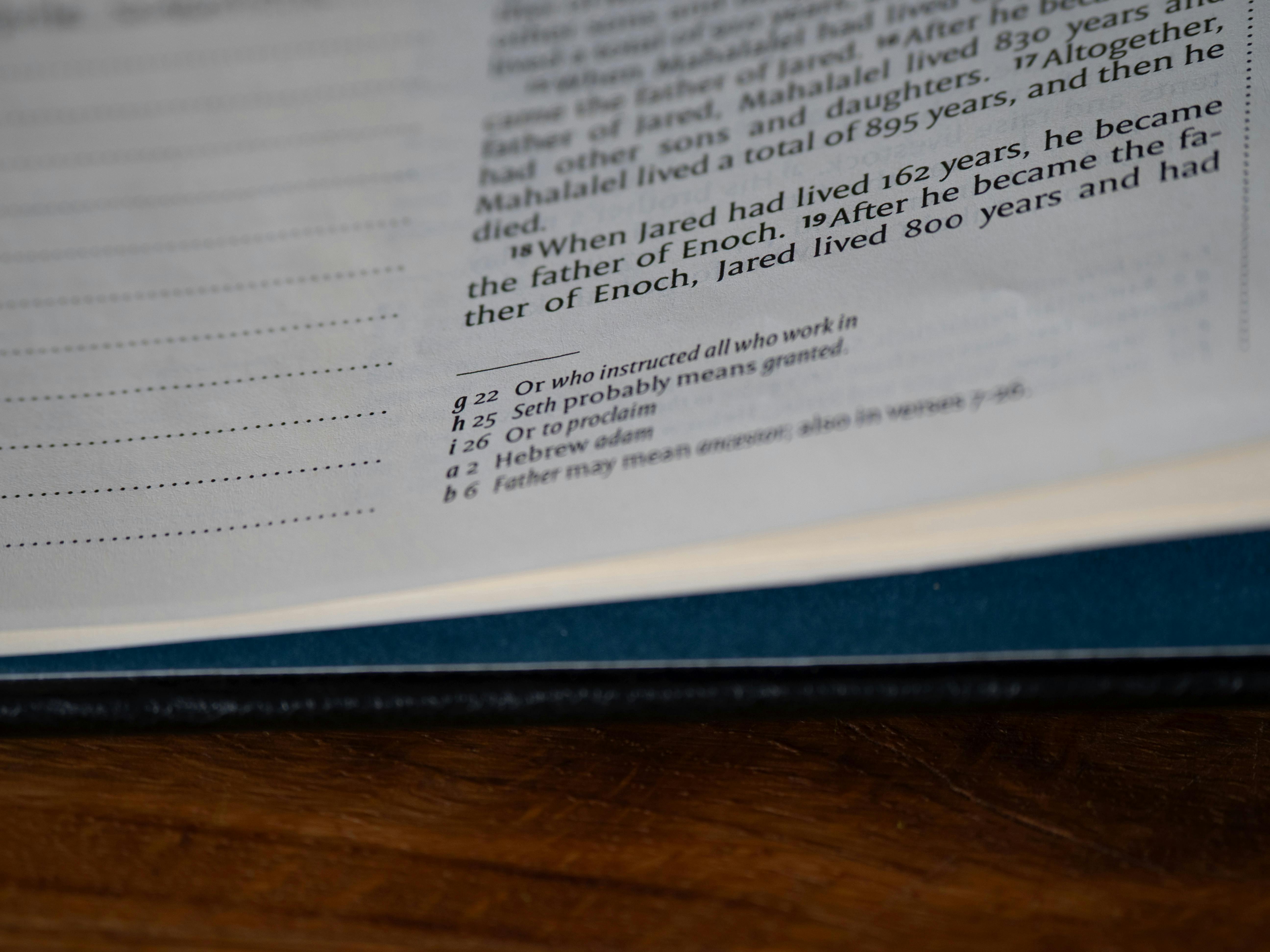 pexels-photo-33349919.jpeg?auto=compress&cs=tinysrgb&h=650&w=940