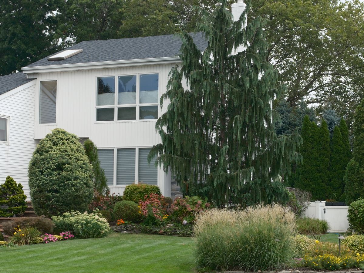 Suburban home with a planted front garden.