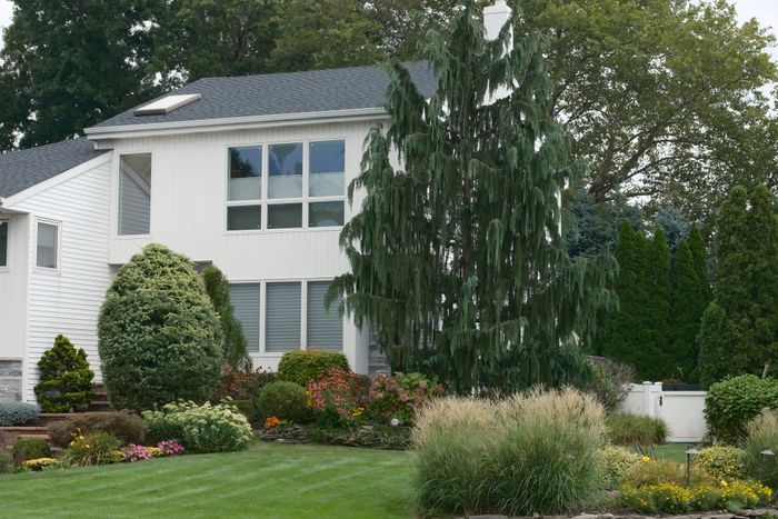 White house behind mature planting — photo by Mingyang LIU on Pexels