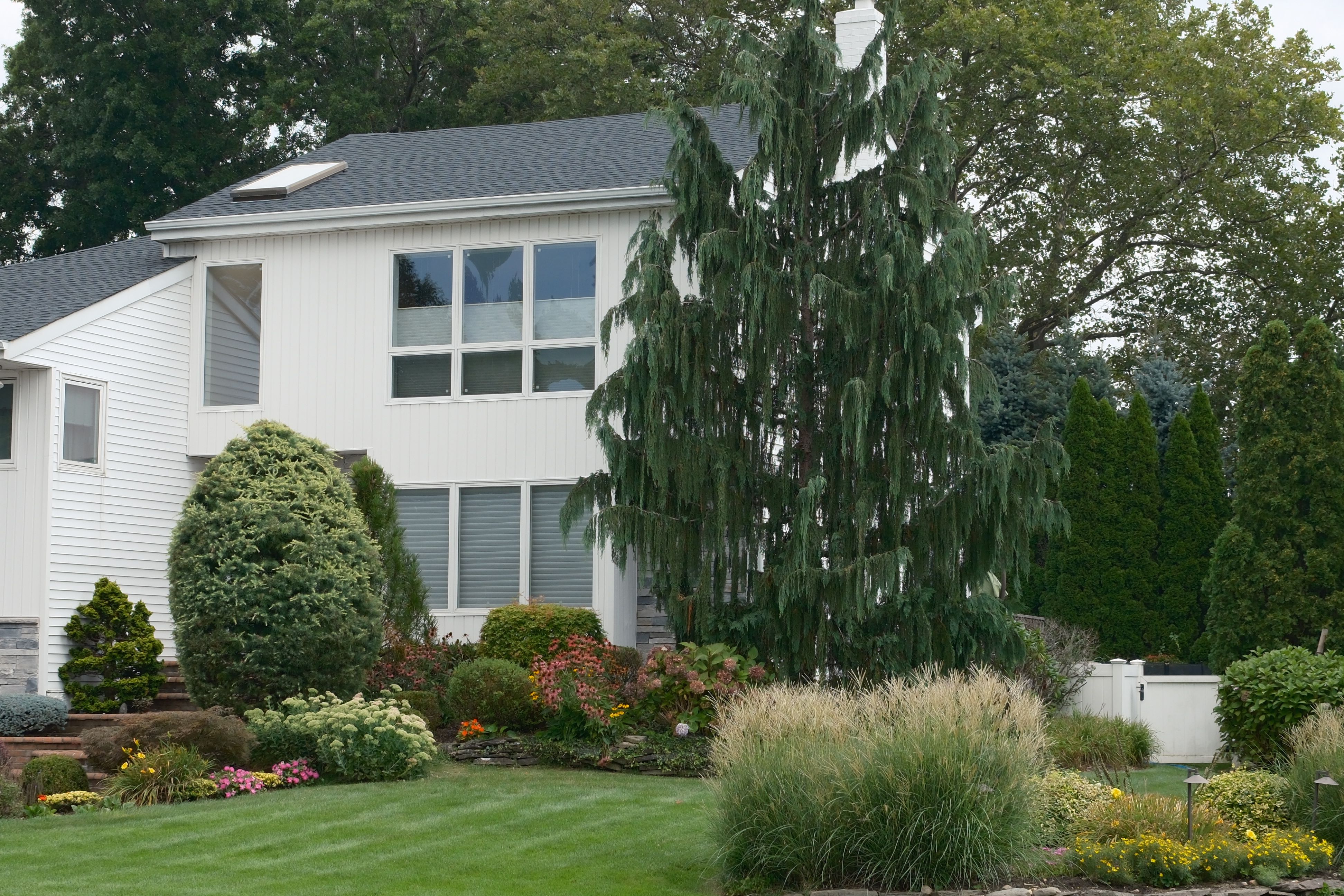 Use Ornamental Grasses