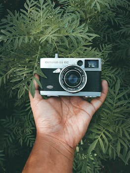 A classic vintage camera held in a hand surrounded by lush green leaves.