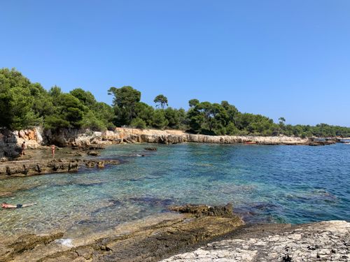Free Beautiful rocky coastline with crystal clear water and green trees under a bright blue sky. Stock Photo