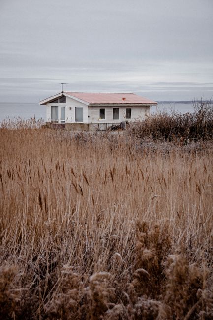 A solitary cabin nestled by the Danish coast in Hvalpsund during winter. Serene and moody tones.