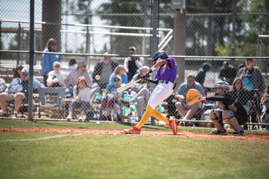 Intense moment in a youth baseball game with batter and catcher in focus.