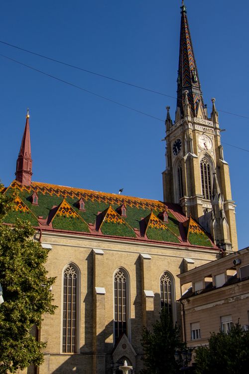 Free Gothic-style church with colorful roof tiles against a clear blue sky. Perfect for architecture enthusiasts. Stock Photo