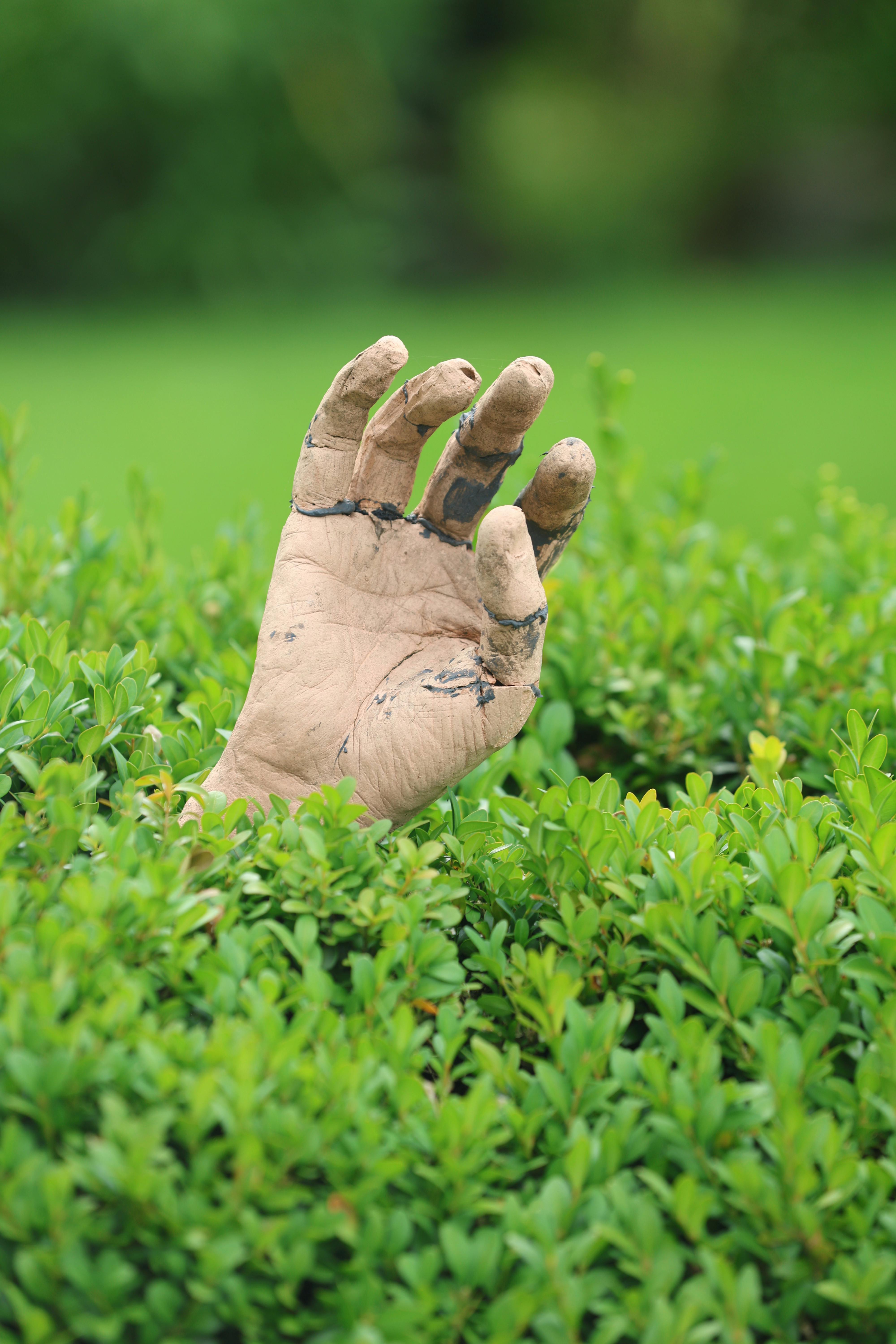 Design Lessons Hidden in the Chaos