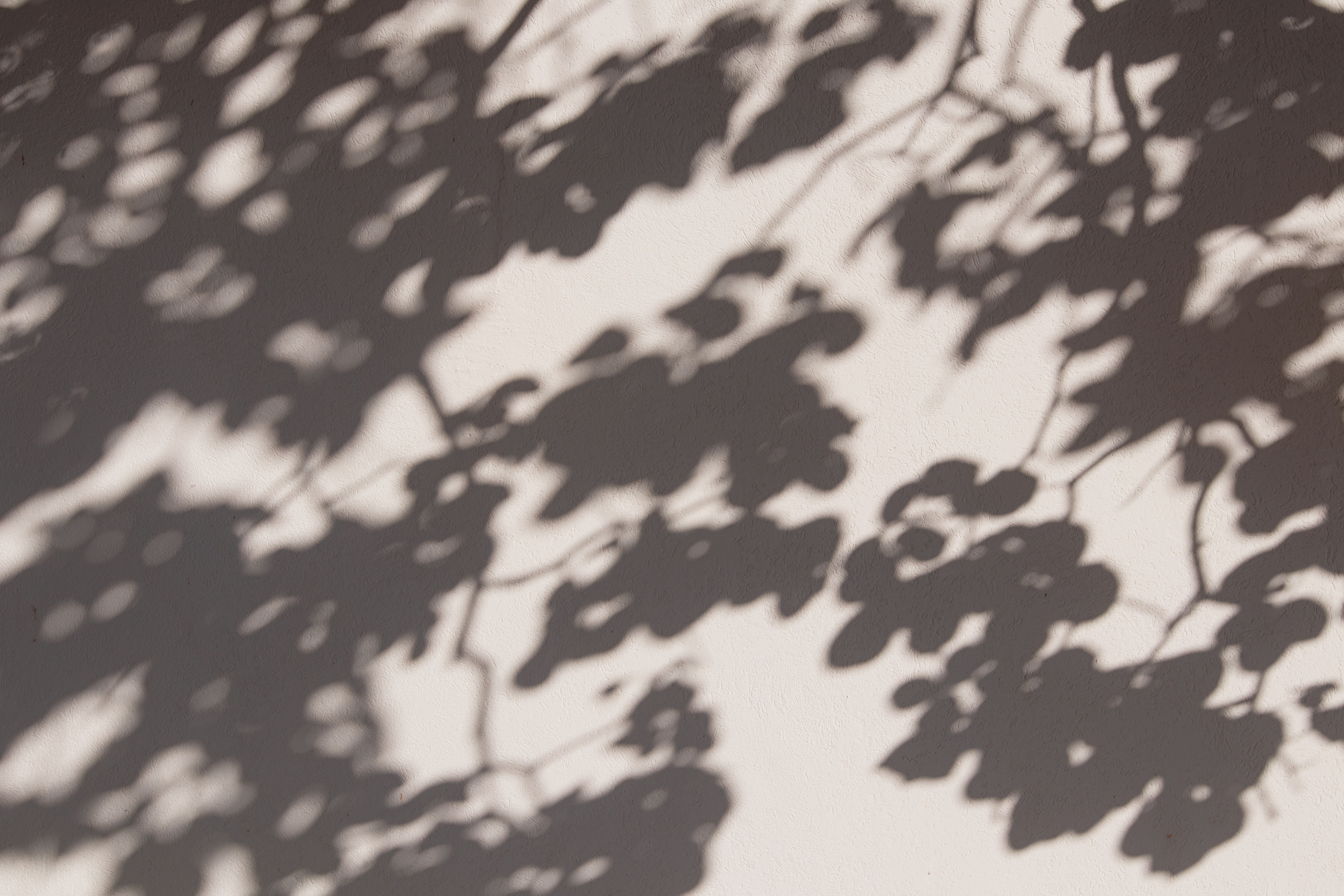 La Danse des Ombres et des Lumières pour une Journée Maîtrisée