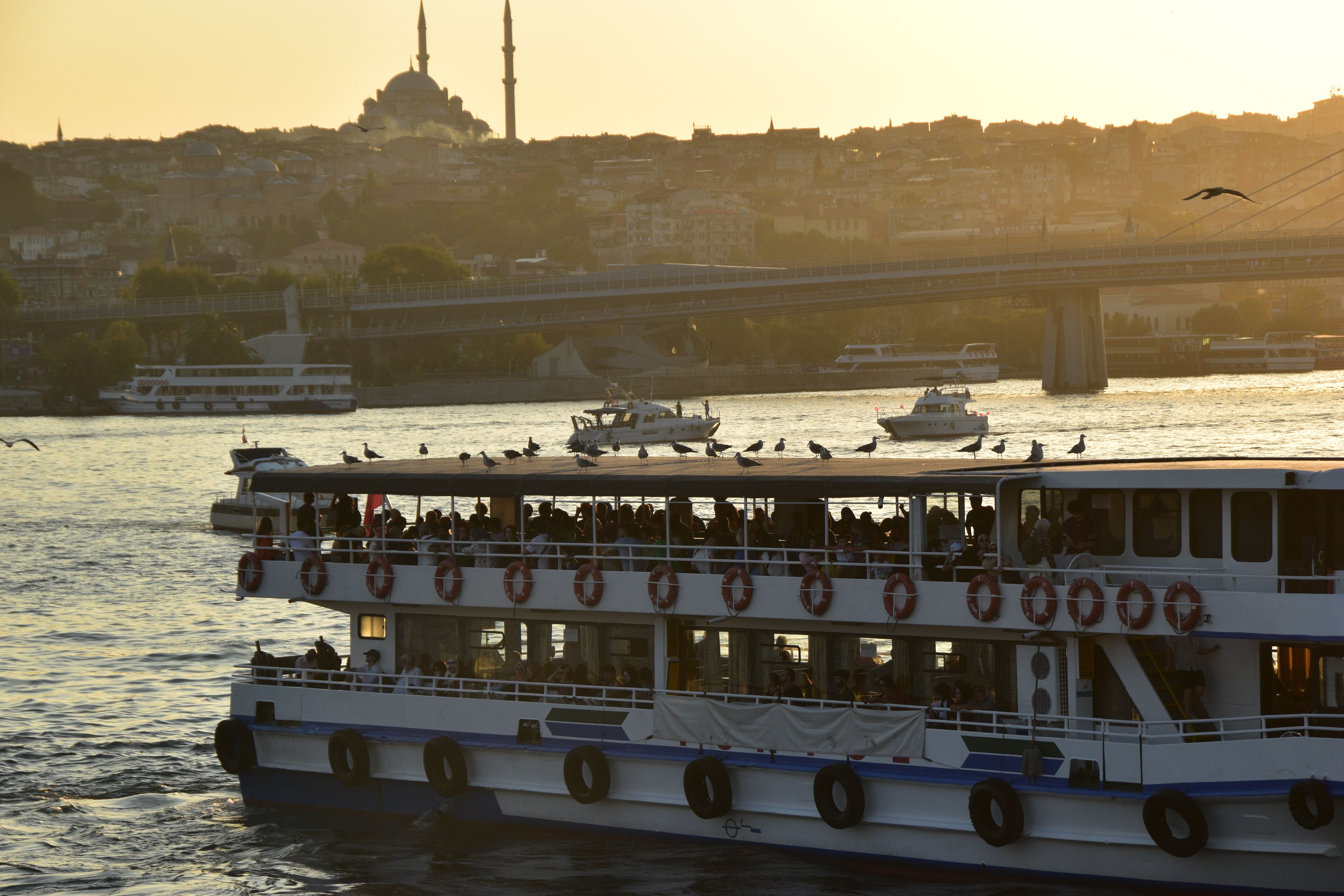 Bosphorus Cruise Istanbul: Day vs. Sunset vs. Evening (Which Is Worth It?)