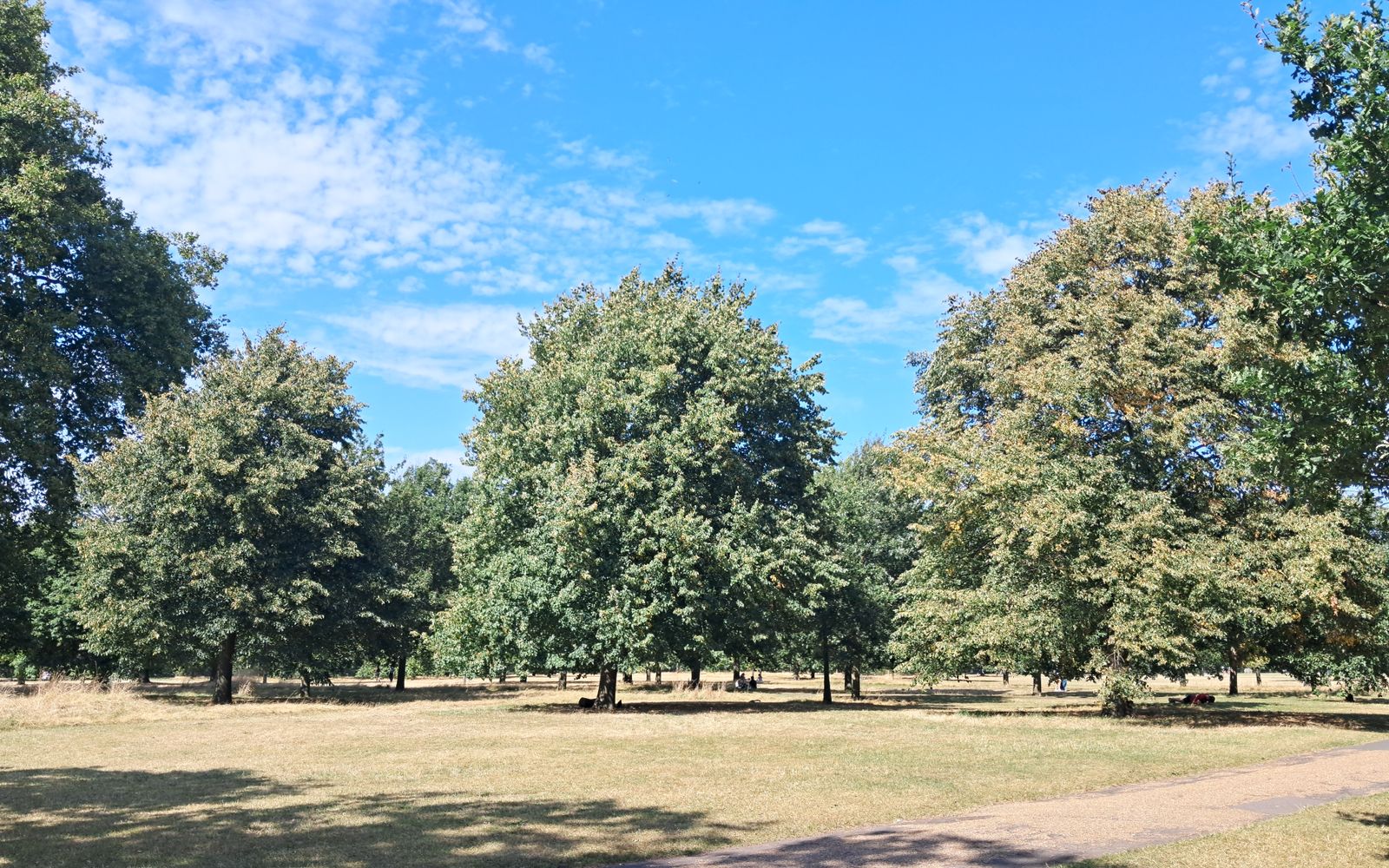 The Heath, the houses and weekend patterns — Platinum Chauffeurs