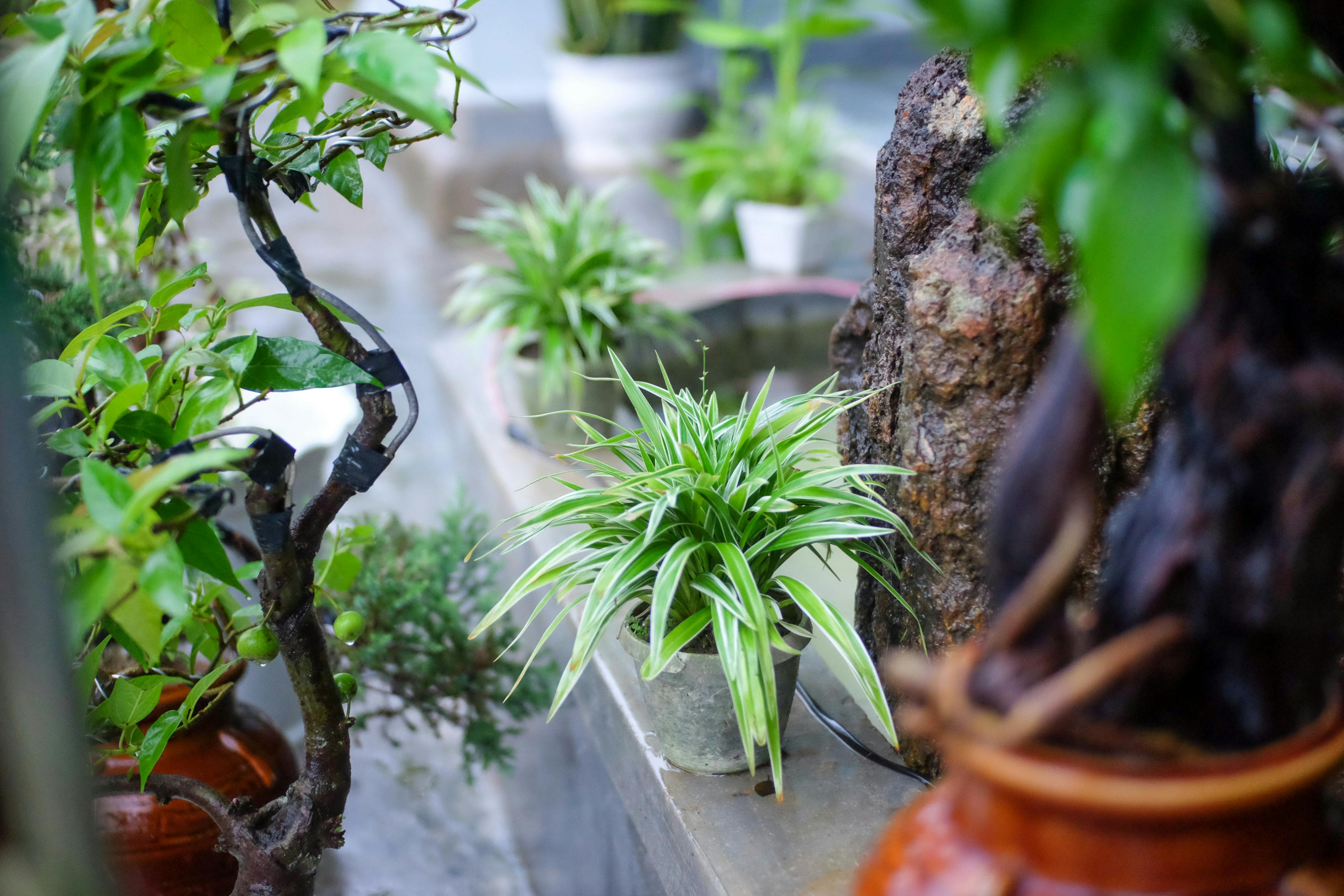 Danh sách theo thẻ do-thai