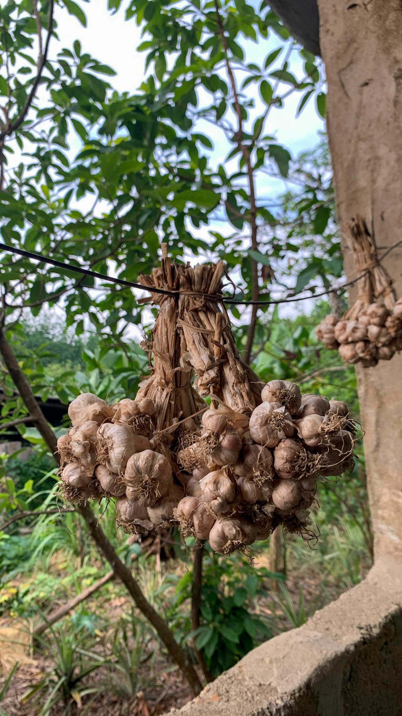 Đặt phòng trực tiếp và qua bên thứ ba