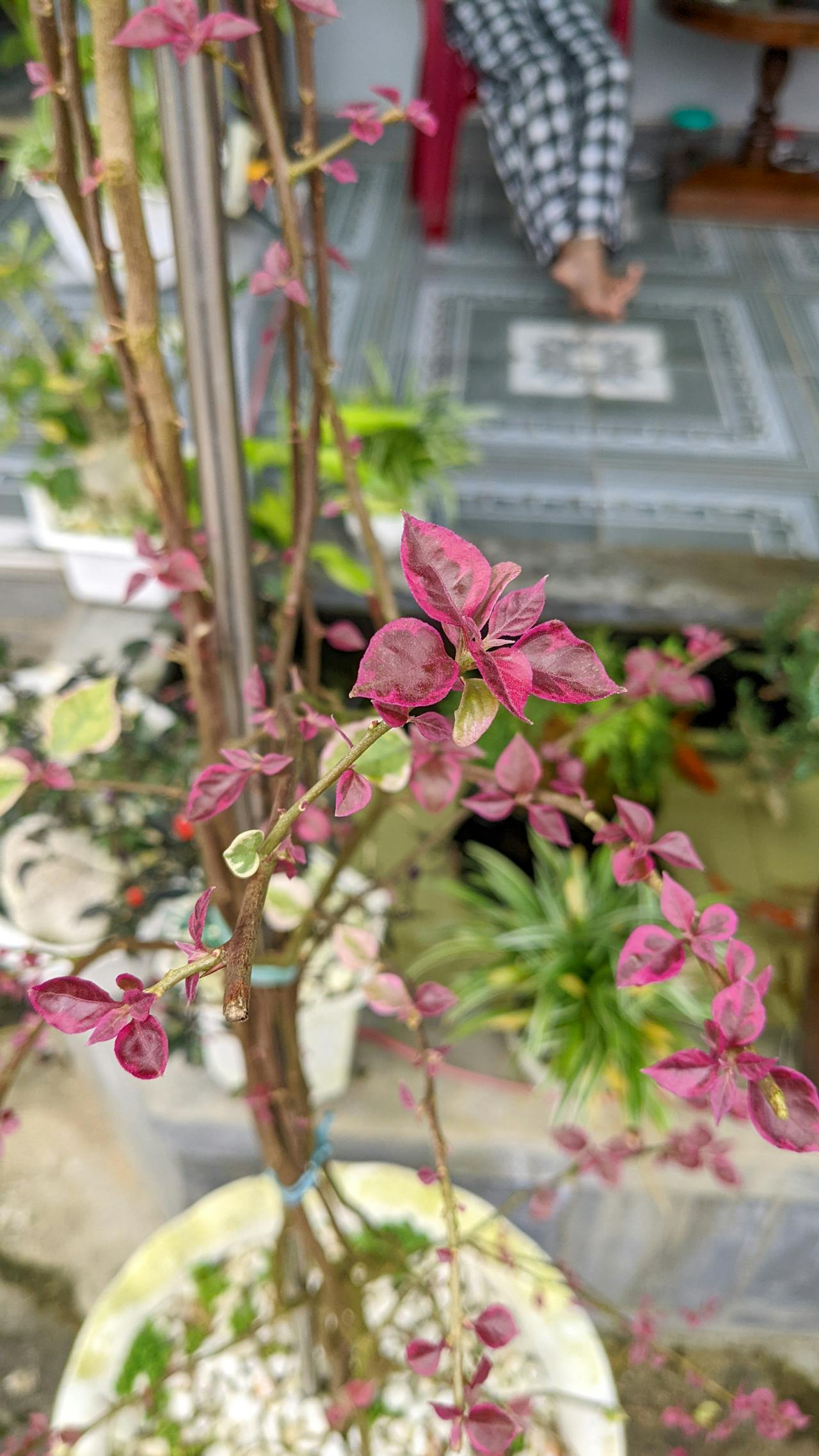 100+ caption, caption, câu nói, câu văn hay về ngày Giải phóng miền Nam, thống nhất đất nước 30/04