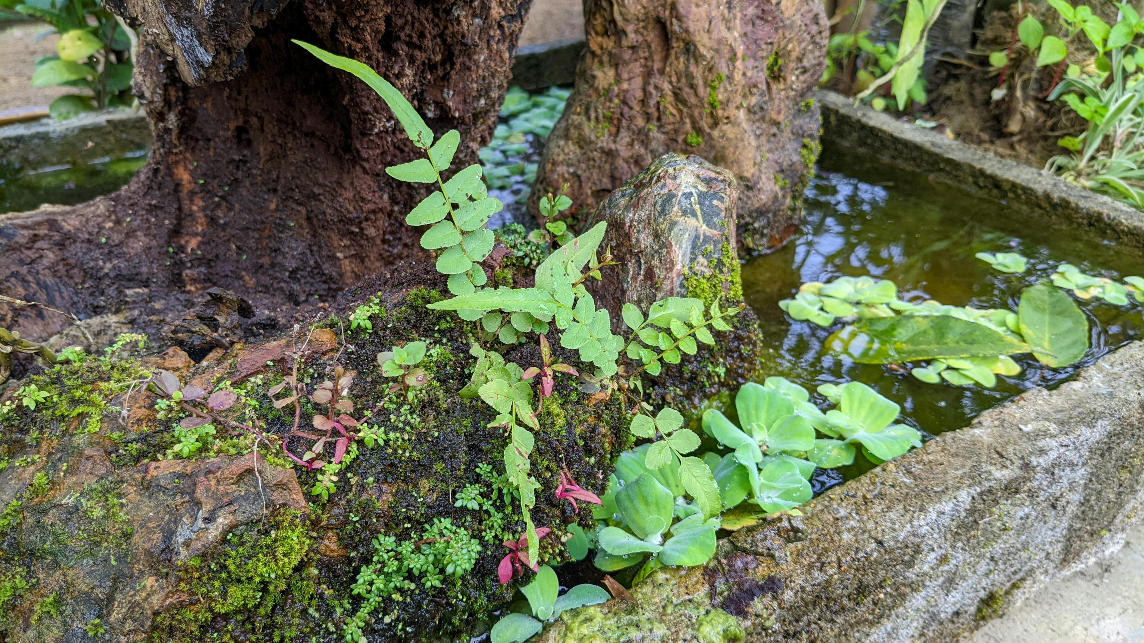 Trung tâm văn hóa đọc, đào tạo viết lách Nhavanvn