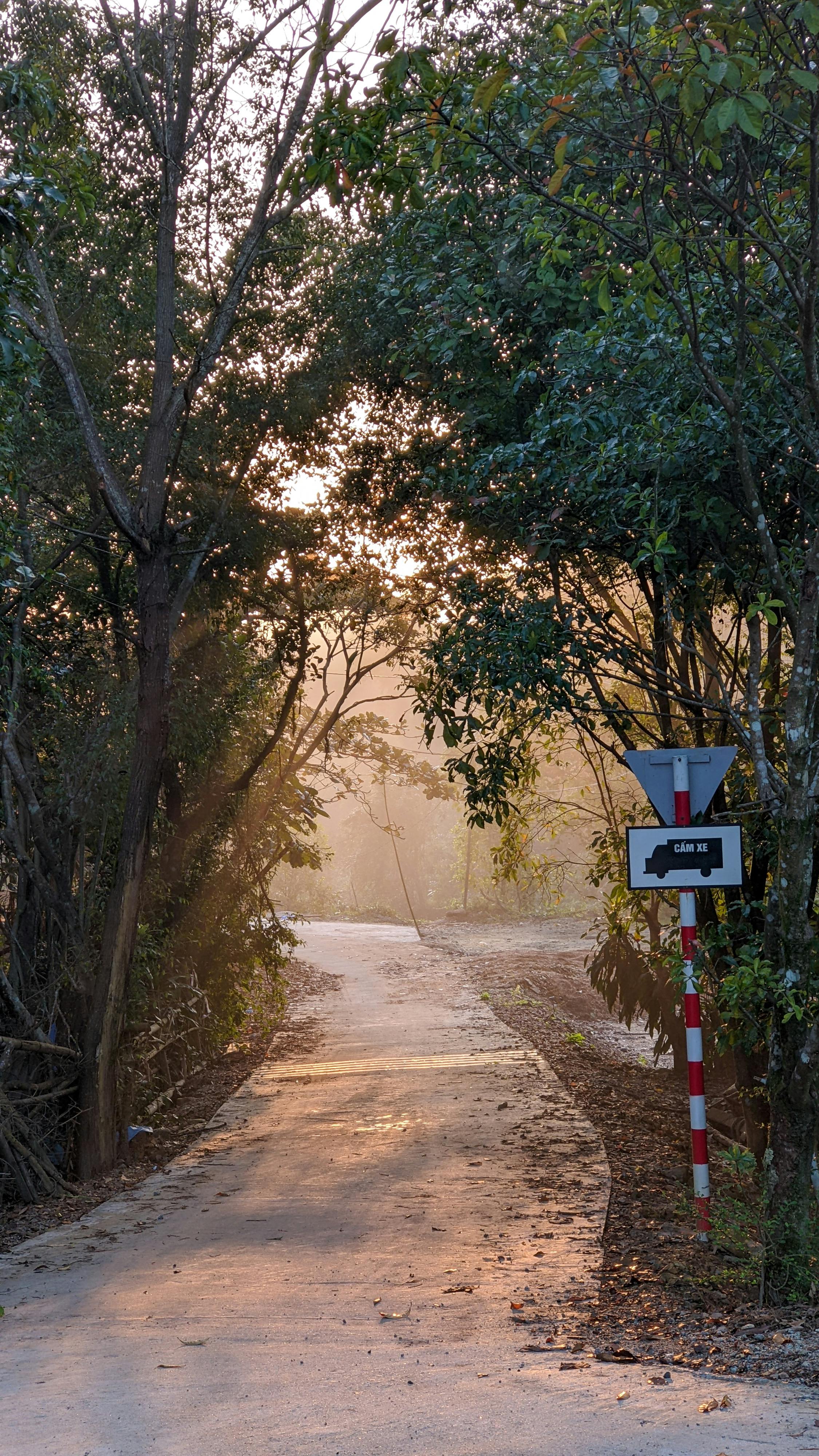 Thiên Chúa là chính sự tồn tại 122 – xa hoi hoc, tam ly hoc, tu duy, triet hoc, thien chua giao, chu nghia hien sinh, thien chua ton tai.