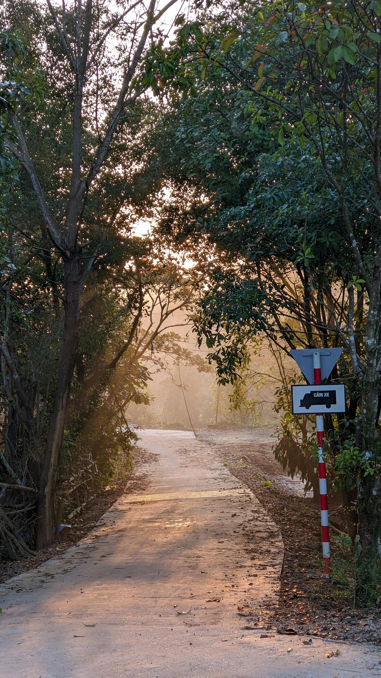 Chim lửa | Chương 08