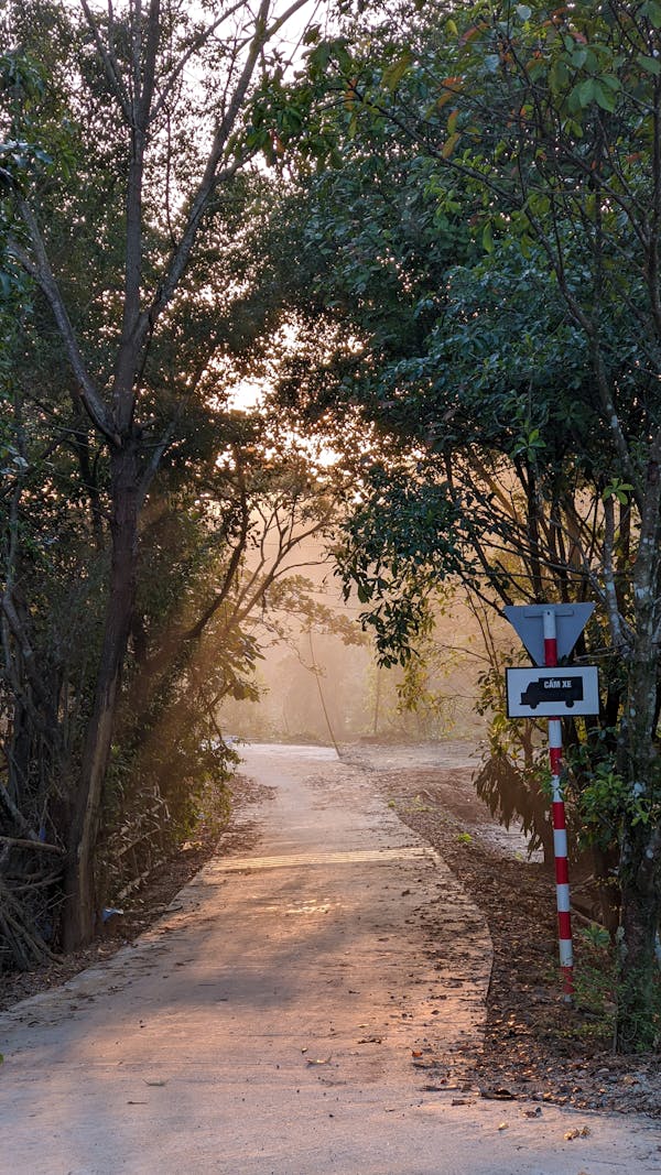 Trung tâm nghiên cứu văn học, phát triển nhà văn Việt Nam