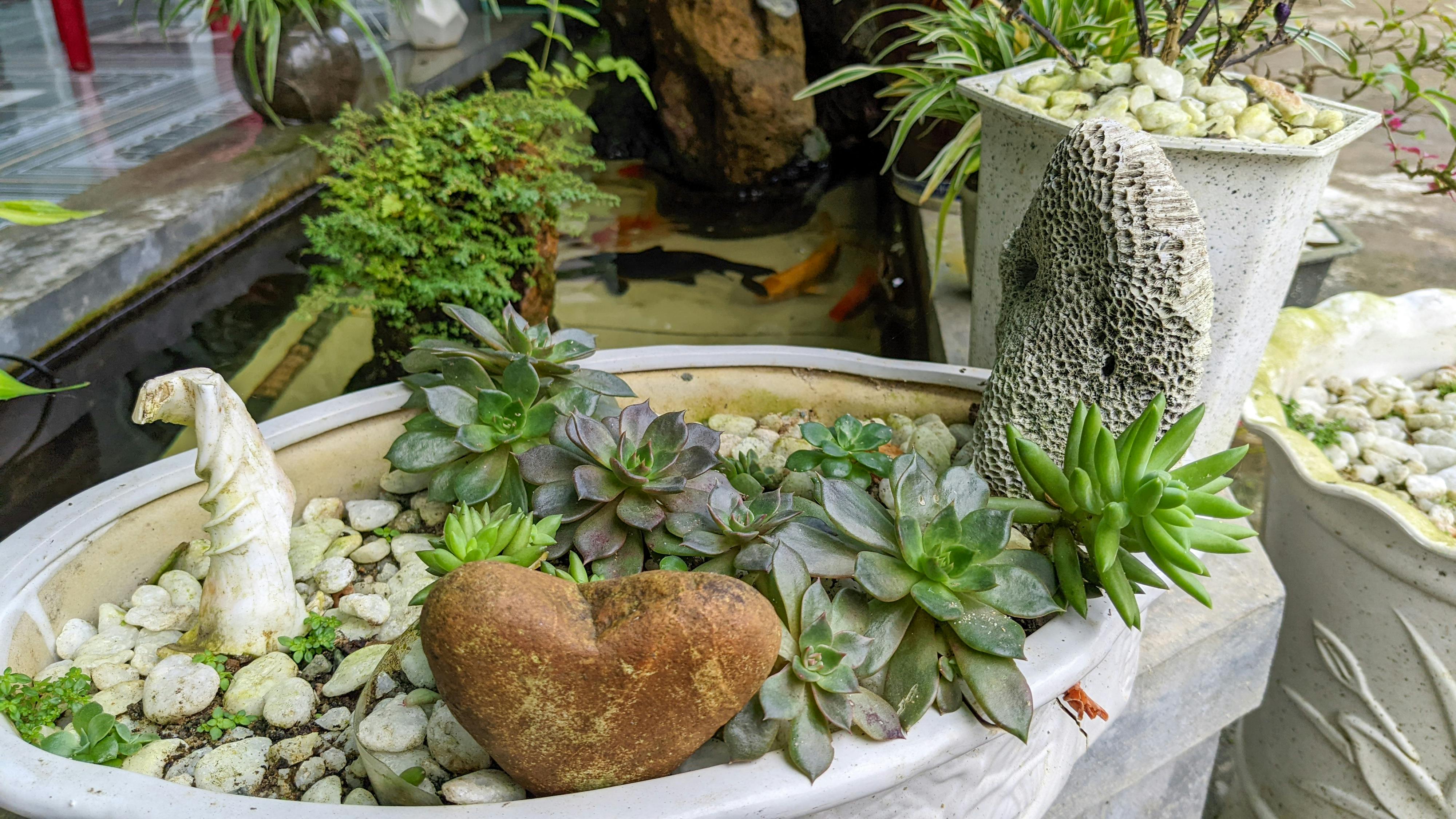 Tiễn dặn người yêu 180 – thu vien, van hoc, van hoc viet nam, ngu van lop 10, tho ca, tho thai, tien dan nguoi yeu, xong chu xon xao, tho, tho cap 3, tho lop 10.