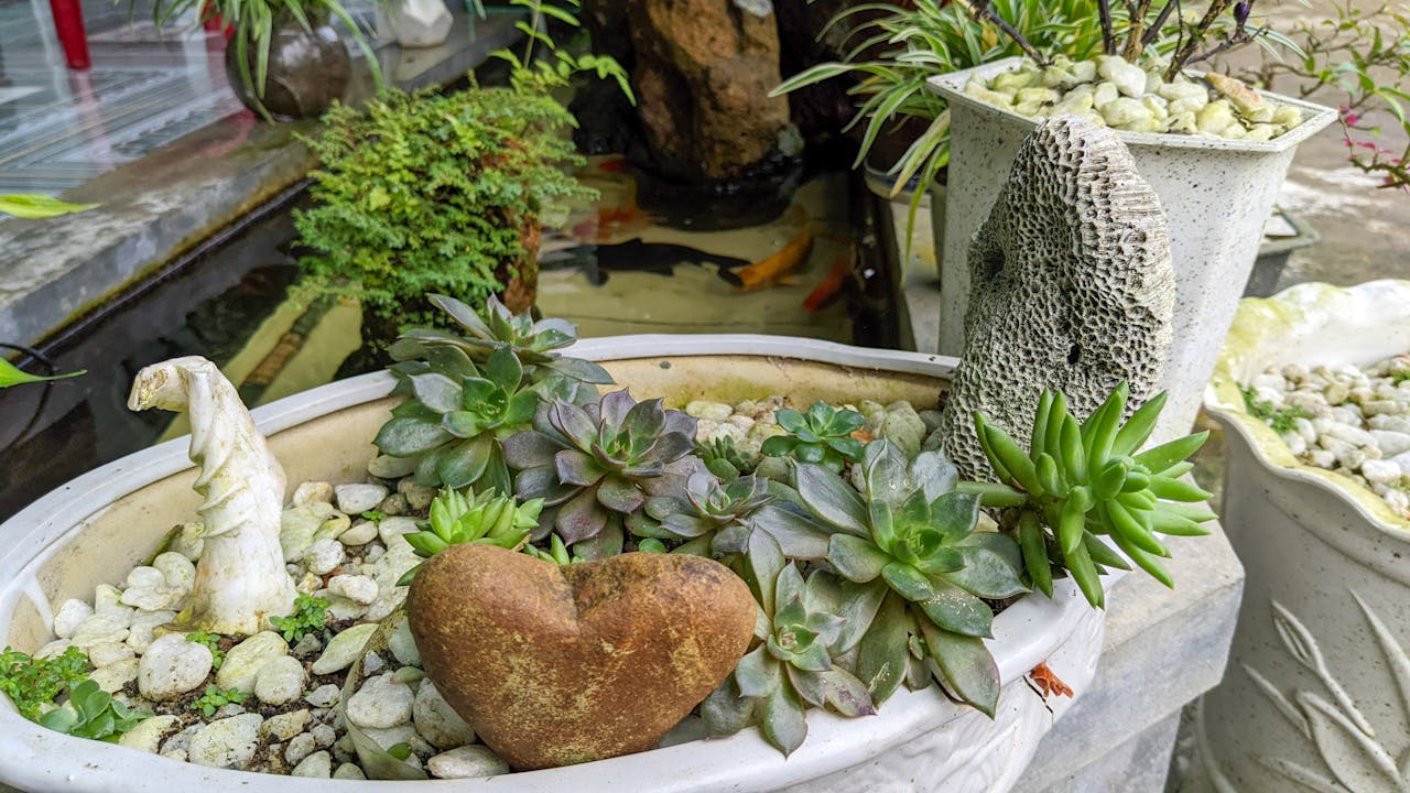 Khi khoa học và đạo đức va chạm