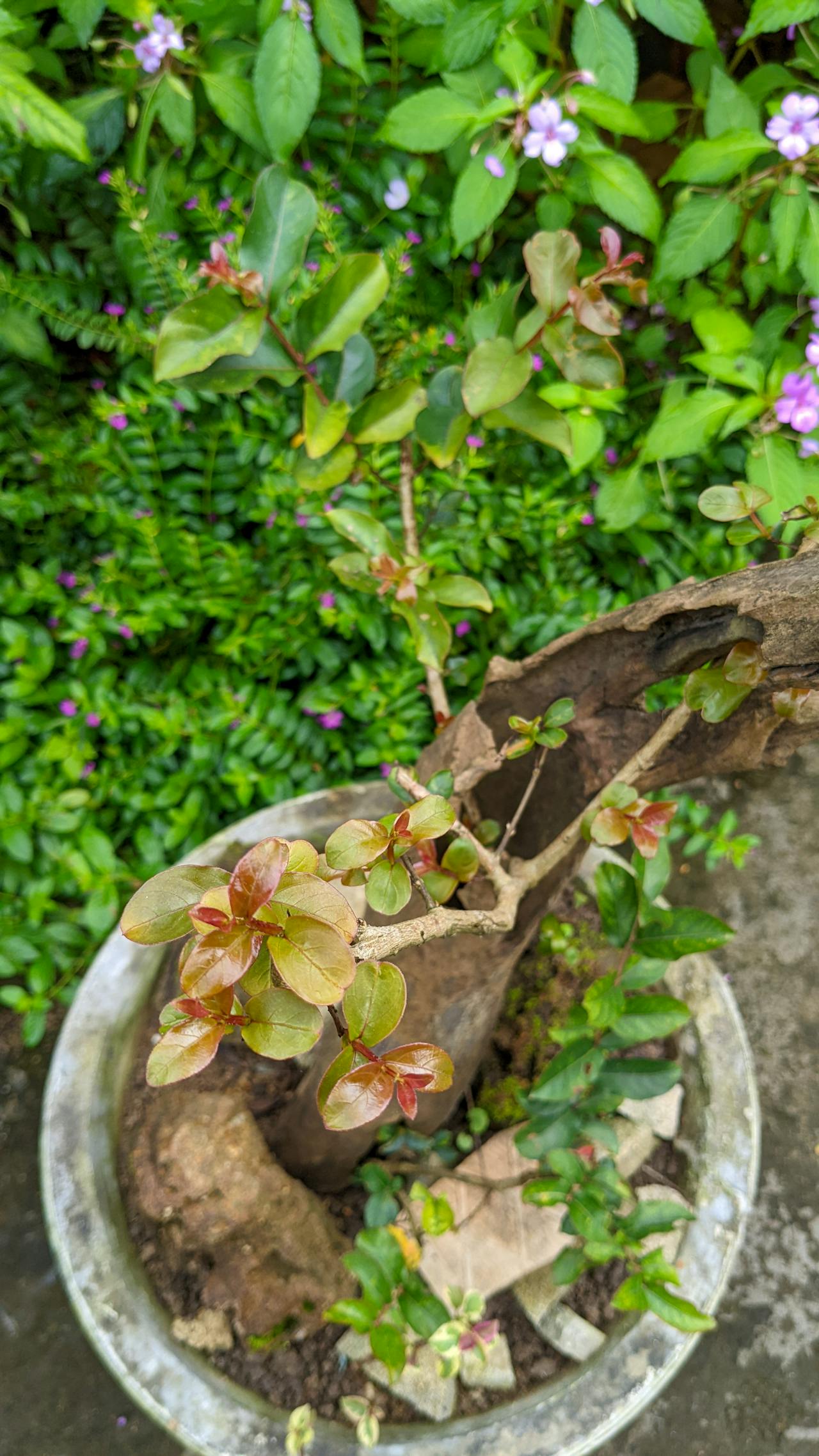 Hiểu đúng về công suất phòng khi làm khách sạn