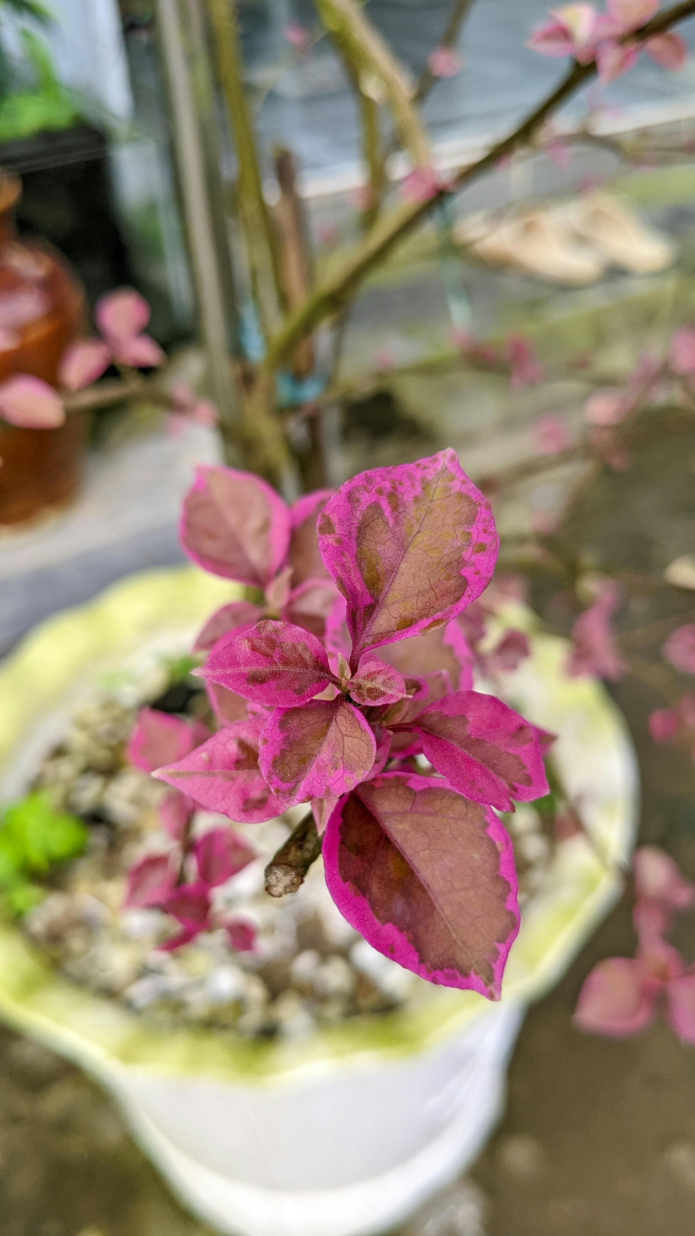 Hiểu về trái tim | Chương 32 123 – thu vien, van hoc, van hoc viet nam, doan van, ton giao, phat giao, thien van, thuc hanh ton giao, minh niem, hieu ve trai tim, hieu ve trai tim chuong 32, hieu ve trai tim 32.