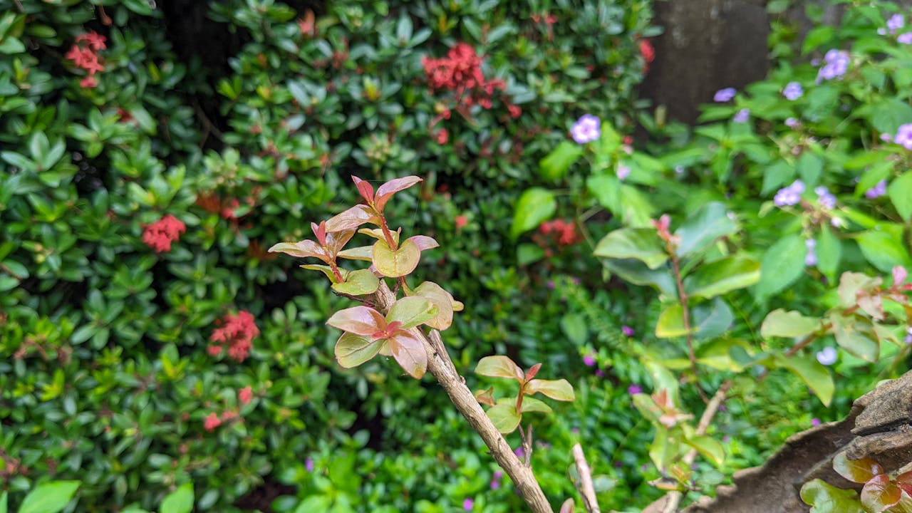 Khi cơ thể bị thương mại, truyền thông hóa