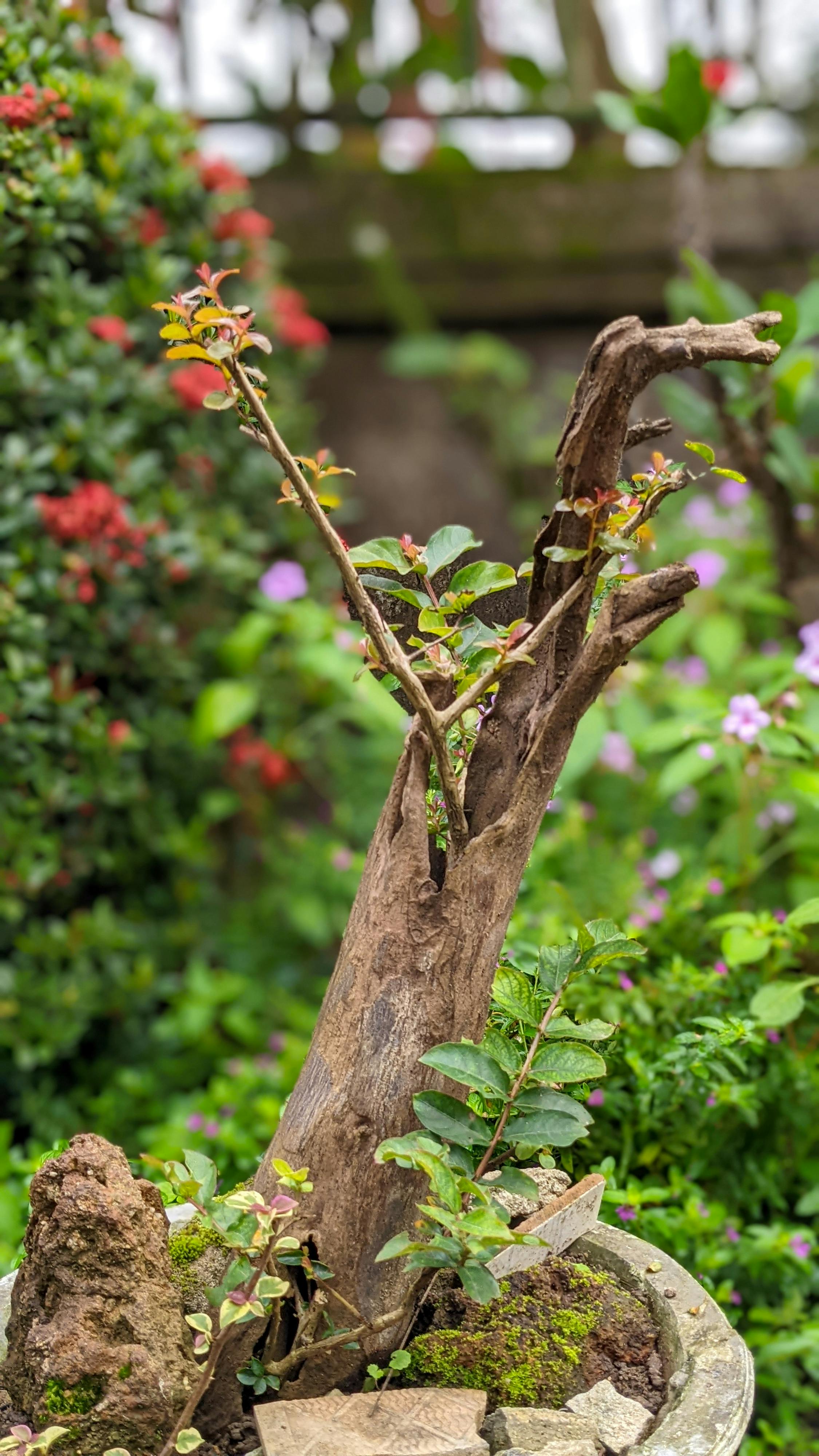 Gieo trồng hạnh phúc | Chương 25 111 – thu vien, van hoc, van hoc viet nam, doan van, ton giao, phat giao, thien van, thuc hanh ton giao, thich nhat hanh, gieo trong hanh phuc, gieo trong hanh phuc chuong 24, gieo trong hanh phuc 24.