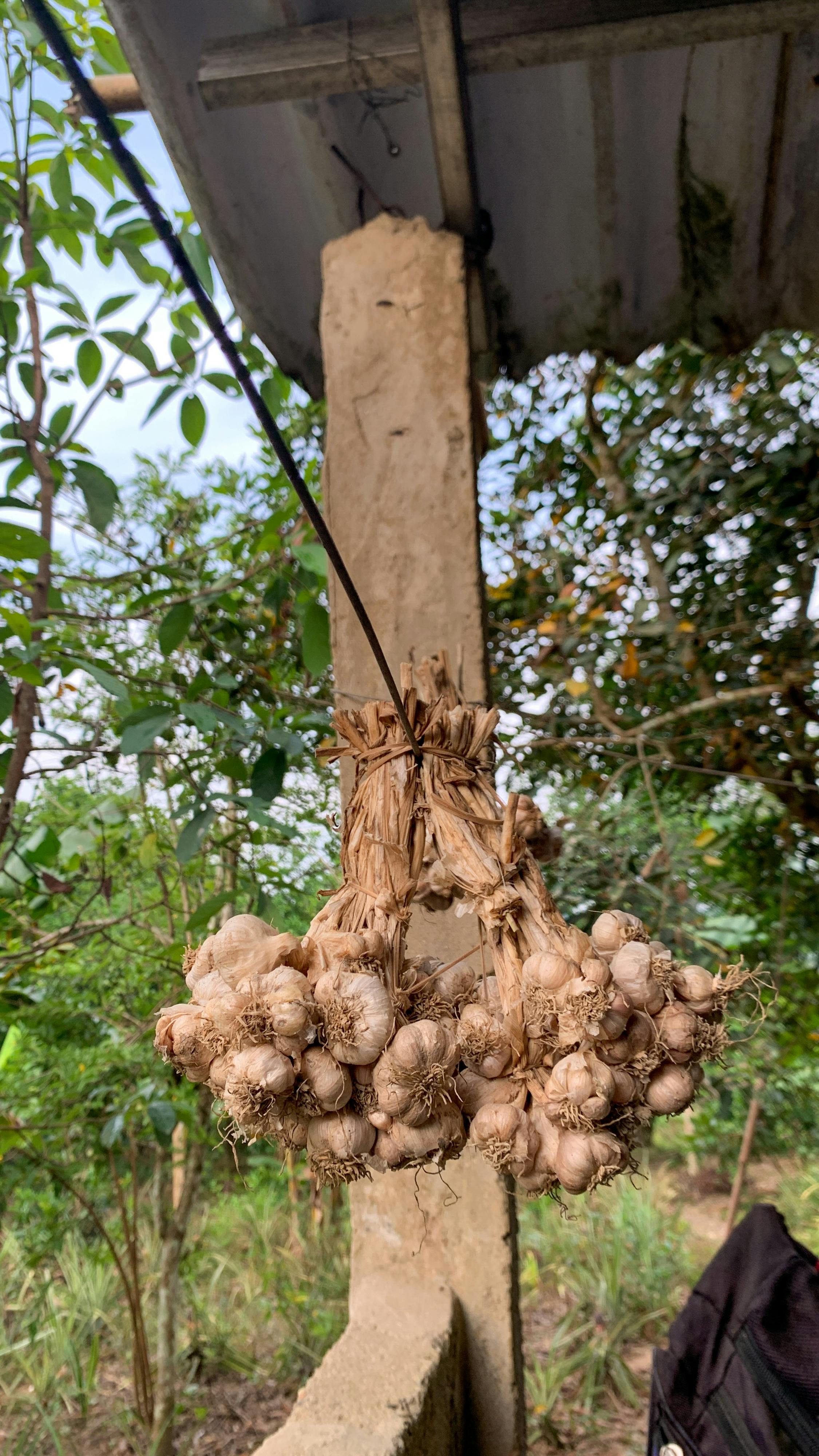 Danh sách theo thẻ astro