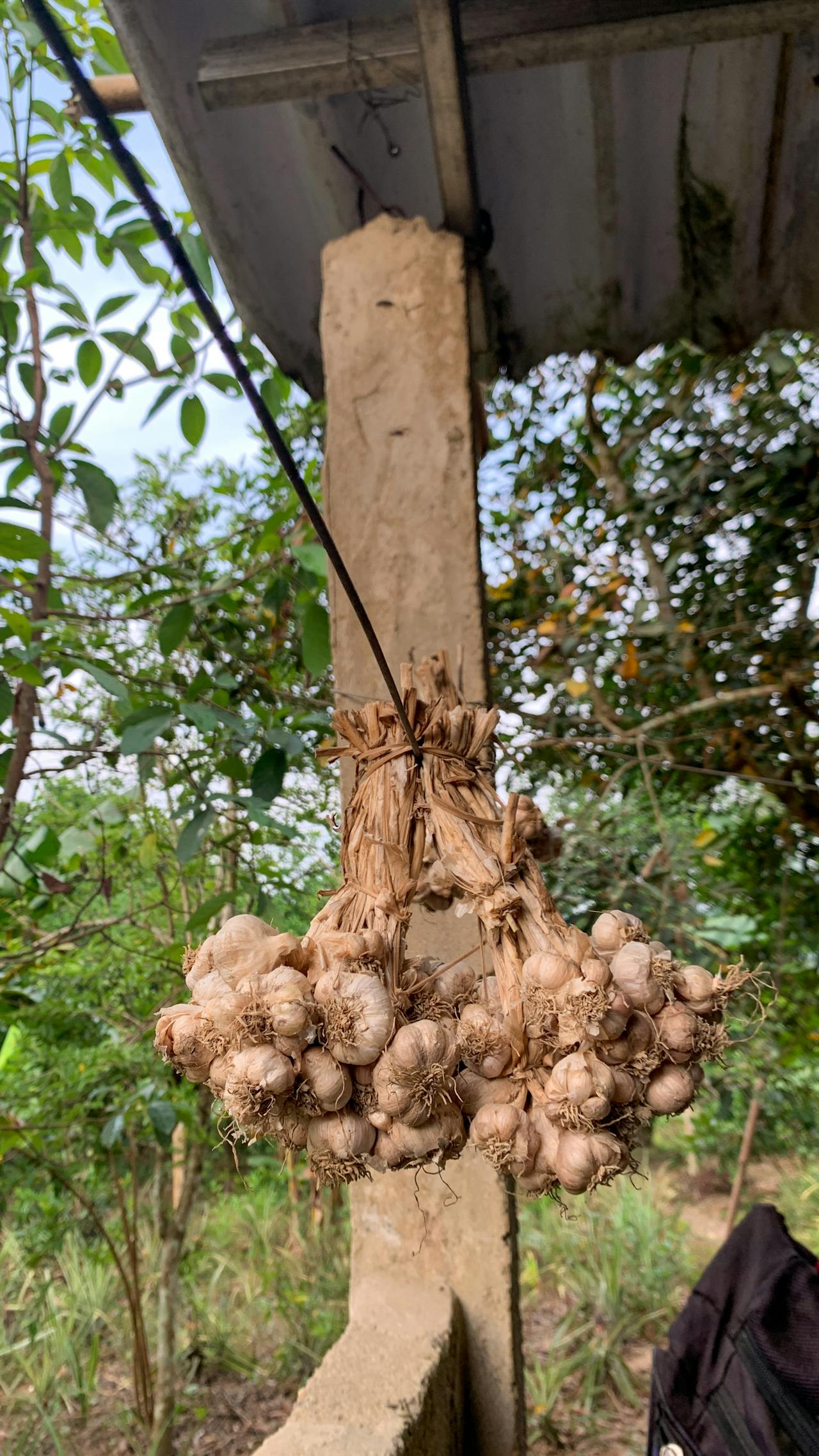 4 loại ngụy khoa học và cách mọi người tin vào chúng
