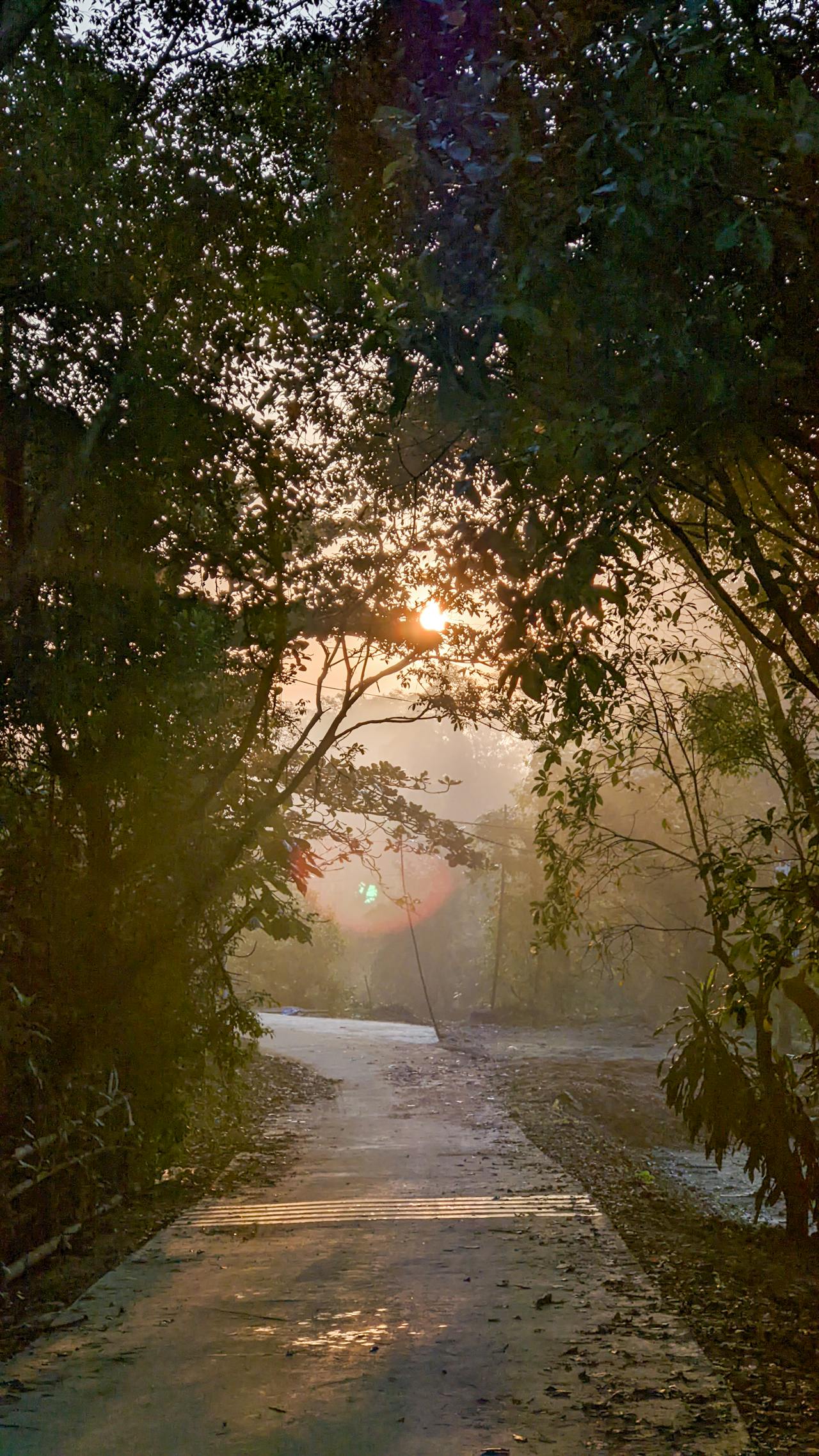 Thám tử lừng danh Conan | Chương 0650
