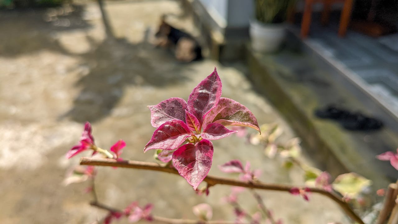 Thám tử lừng danh Conan | Chương 0630