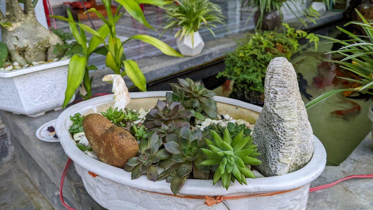 Biên niên ký chim vặn dây cót | Chương 46