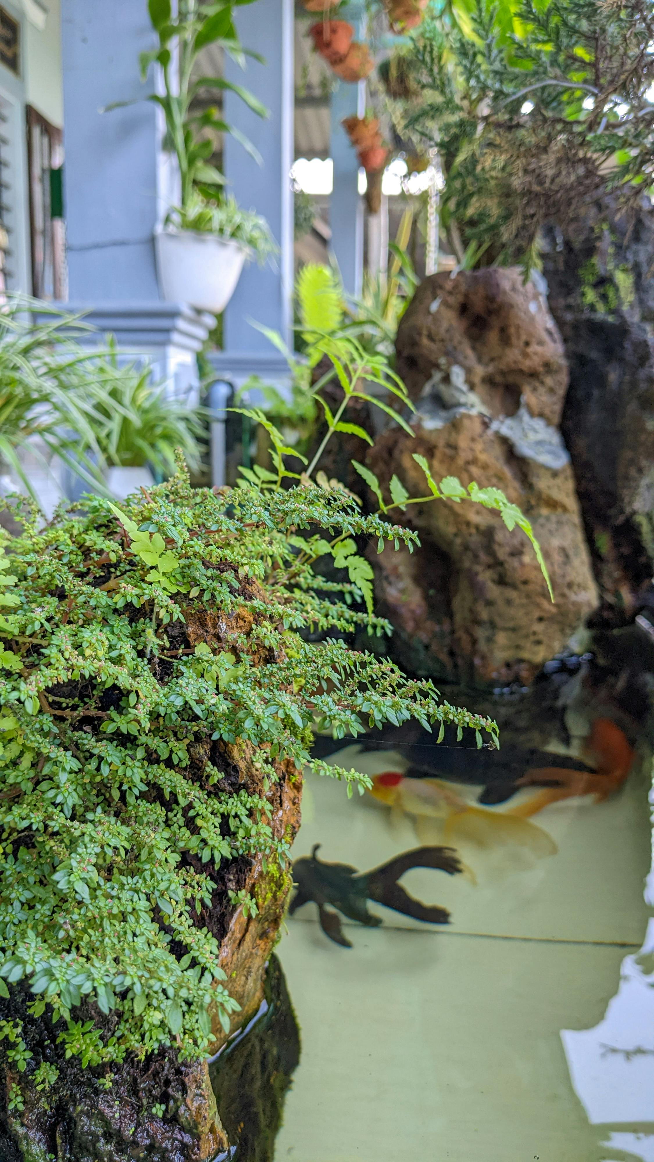 Bụt là hình hài, Bụt là tâm thức | Chương 01 569 – thu vien, van hoc, van hoc viet nam, doan van, ton giao, phat giao, thien van, thuc hanh ton giao, thich nhat hanh, but la hinh hai but la tam thuc, but la hinh hai but la tam thuc chuong 01, but la hinh hai but la tam thuc 01.