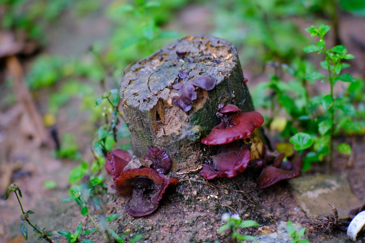 Hướng dẫn viết báo cáo nâng cao