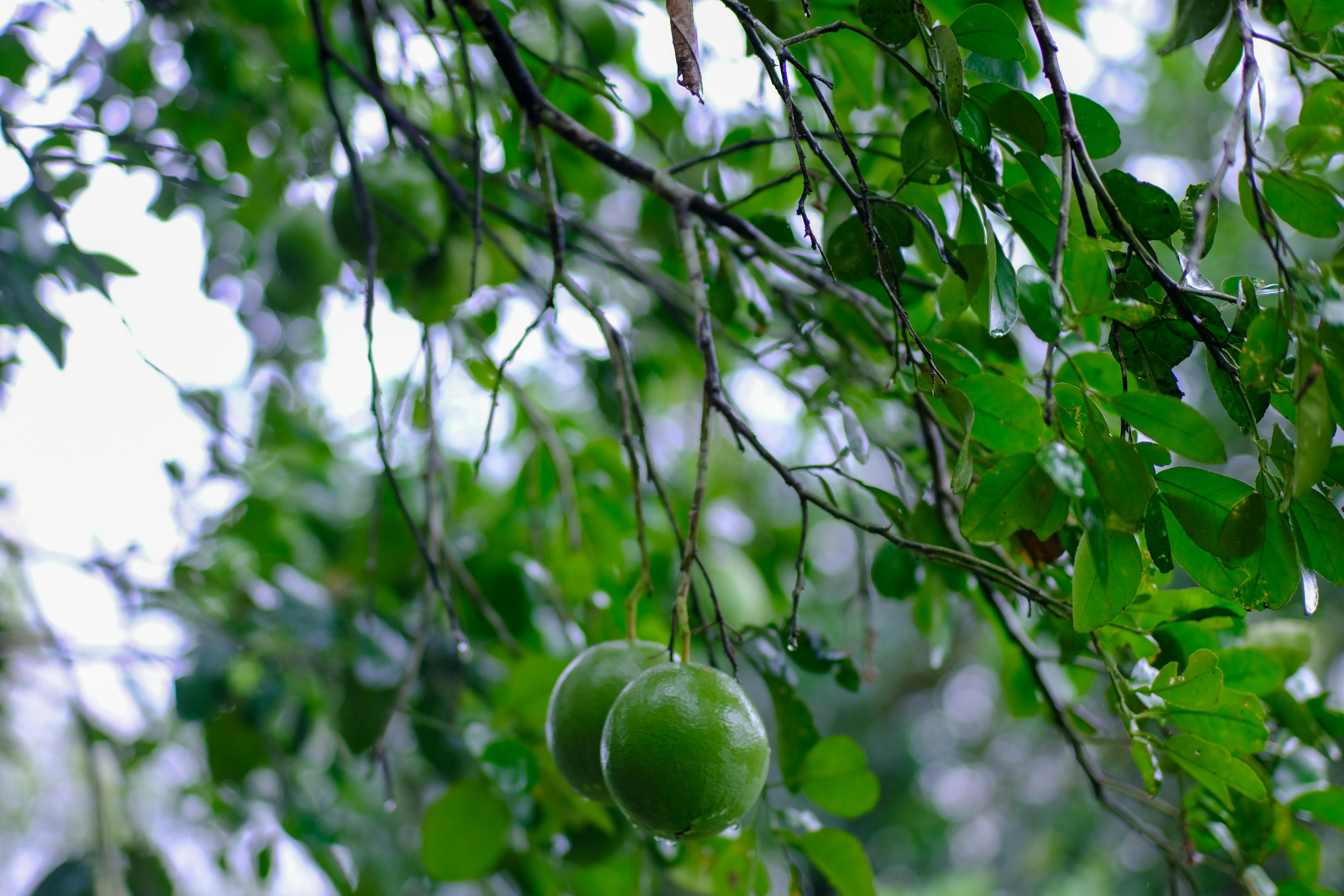 Trung tâm nghiên cứu văn học, phát triển nhà văn Việt Nam