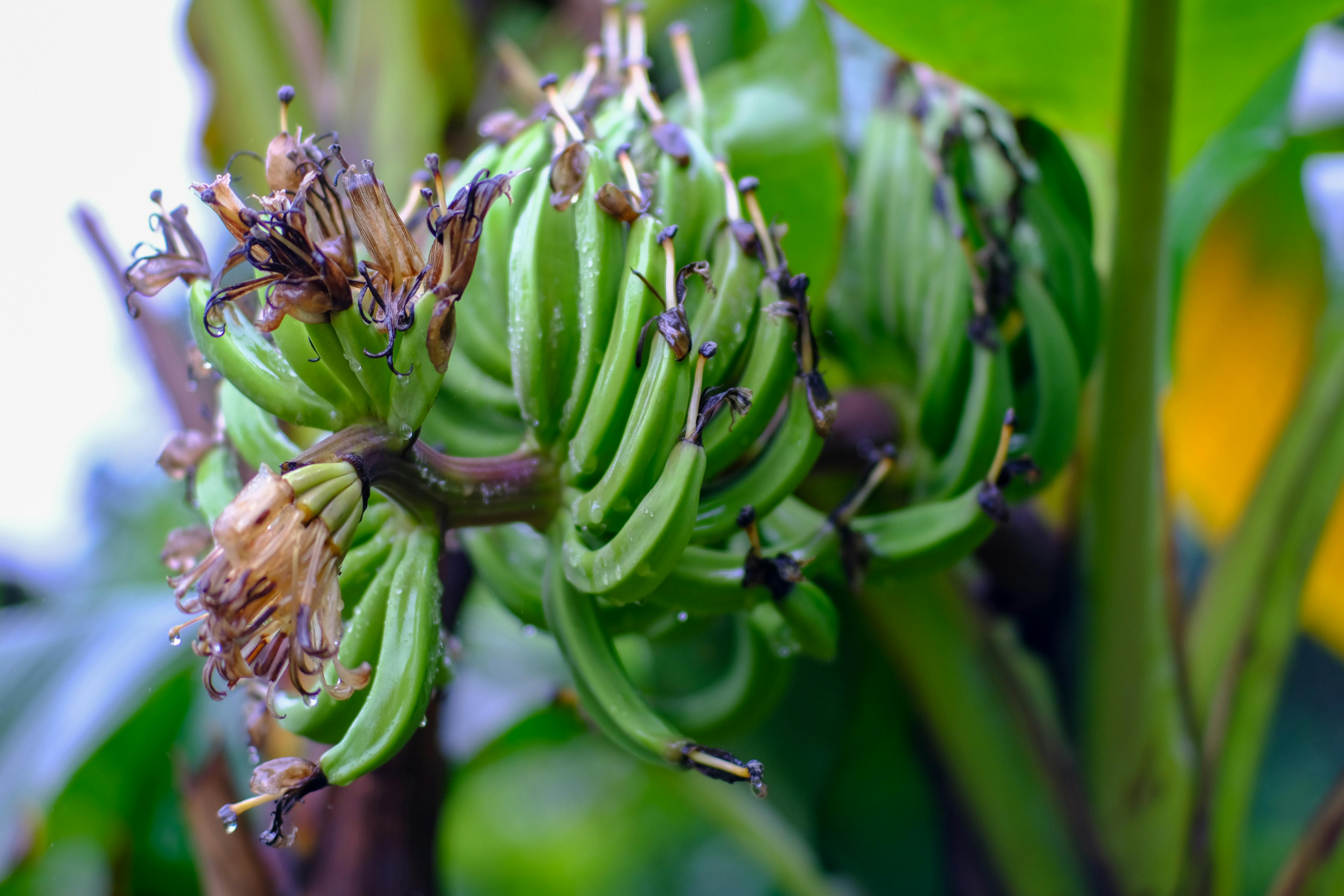 Phép tính lượng tử trong vũ trụ song song 918 – khoa hoc, vu tru, vat ly thien van, khoa hoc vu tru, vat ly luong tu, luong tu hoc, phep tinh luong tu, vu tru song song, da vu tru, luong tu song song.