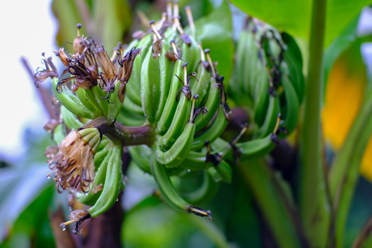 Tư duy sáng tạo viết lách hữu hiệu