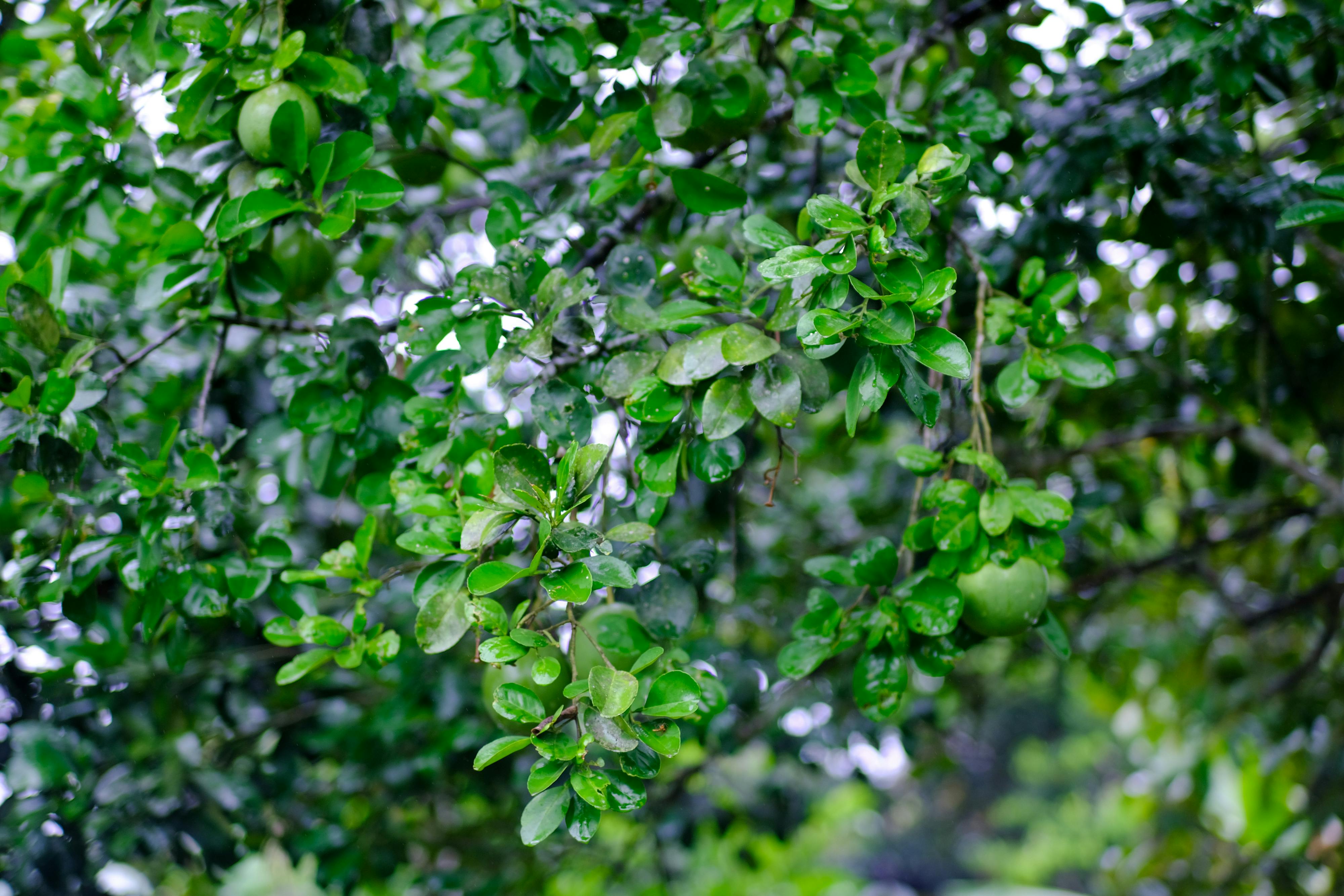 Trung tâm nghiên cứu văn học, phát triển nhà văn Việt Nam